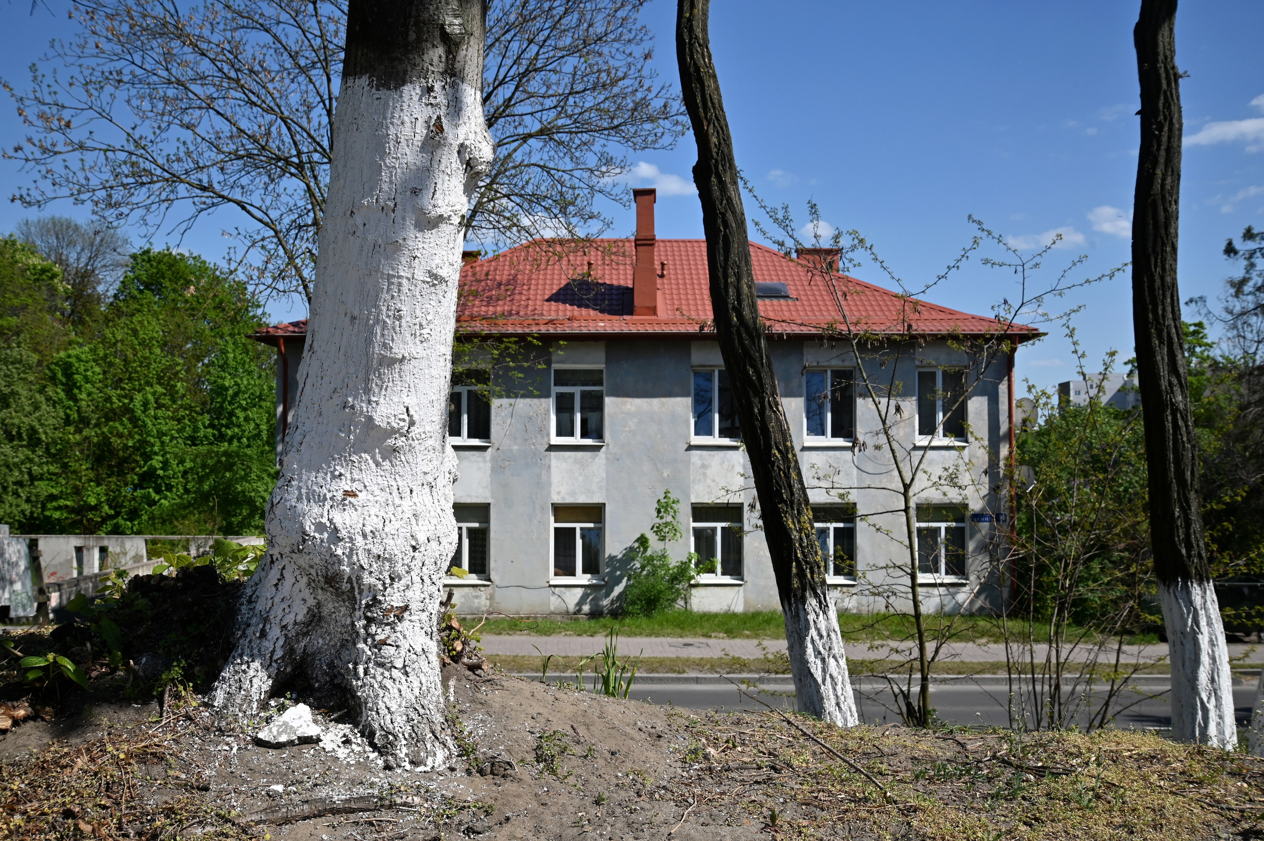 Пейзаж. Дмитрий Старков — фотограф