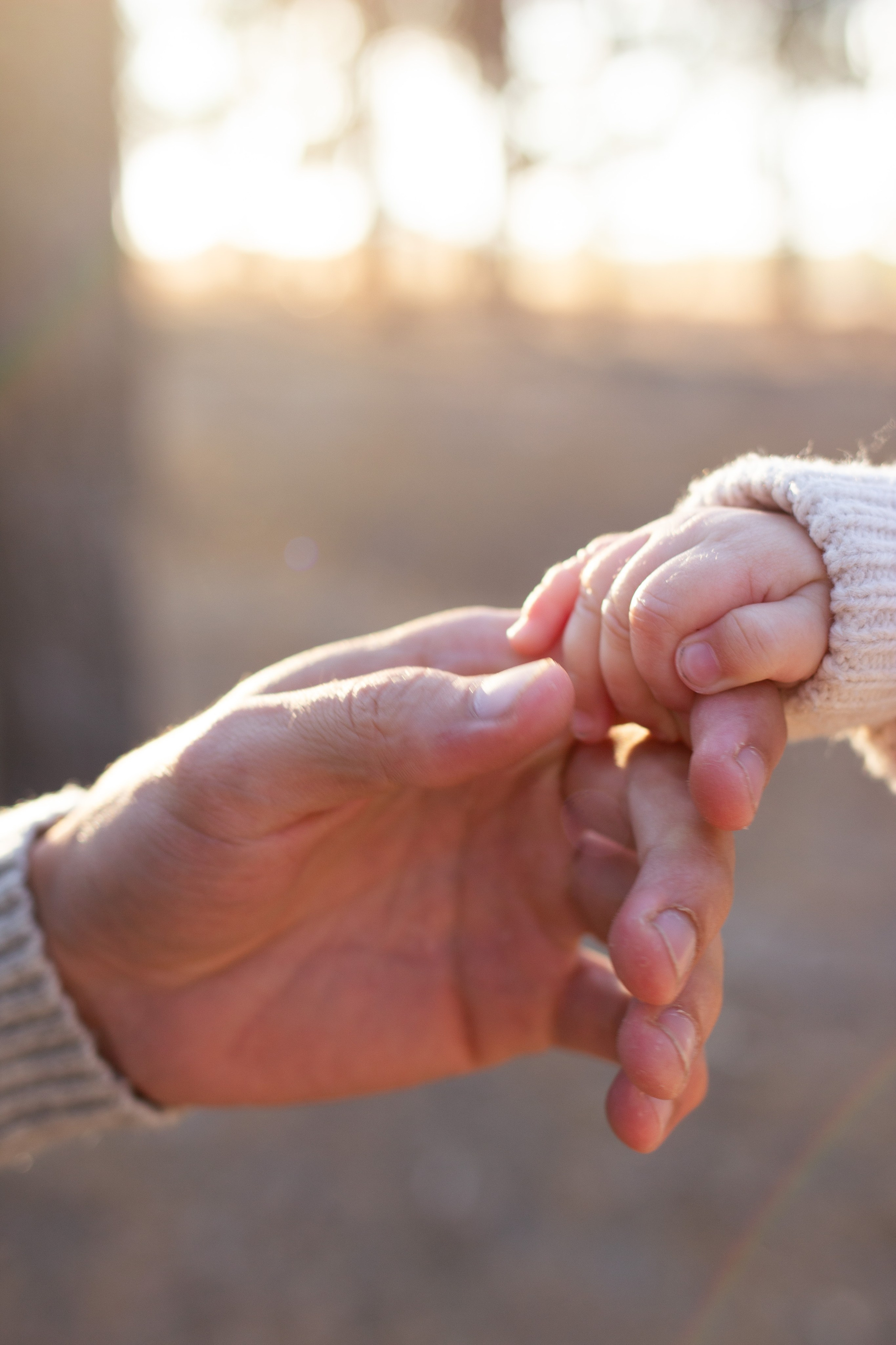 Семья лес. Newborn-barykina.ru
