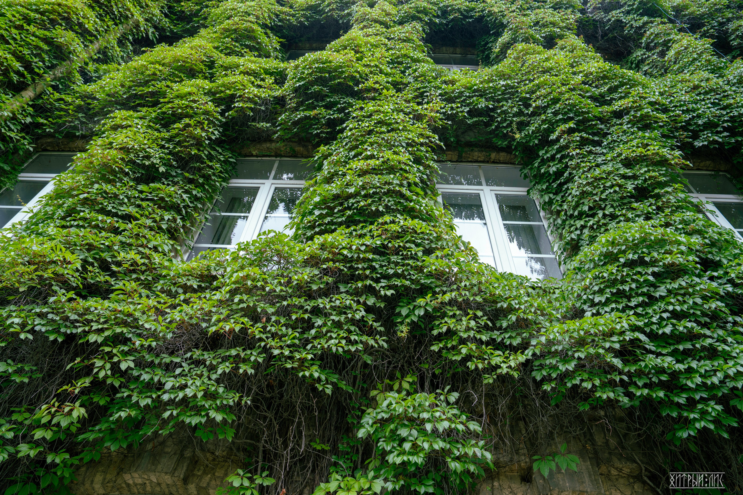 Беларусь. Фотограф-путешественник Самойлов Максим «Sly Fox»