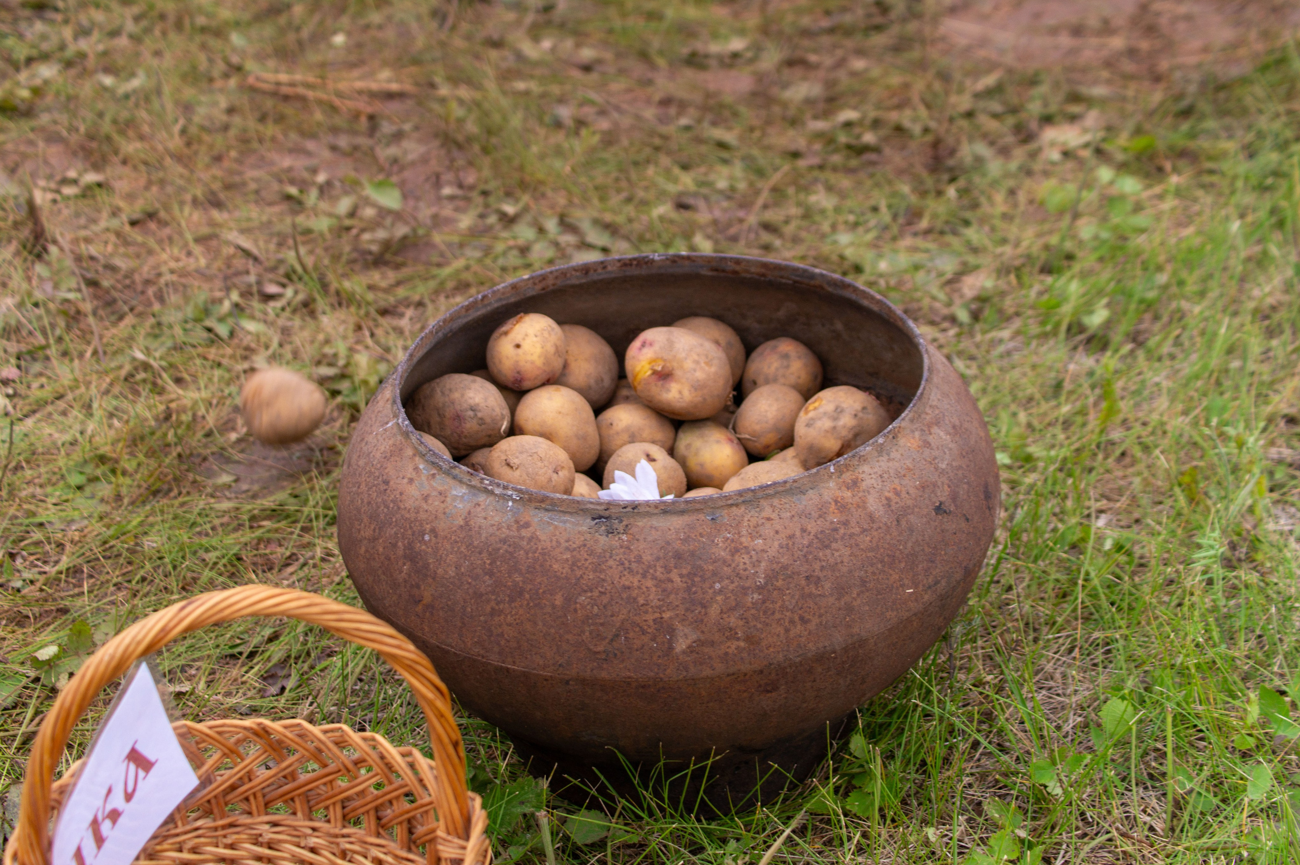 Всероссийский собантуй 2025. Портретный и семейный фотограф Санкт-Петербург