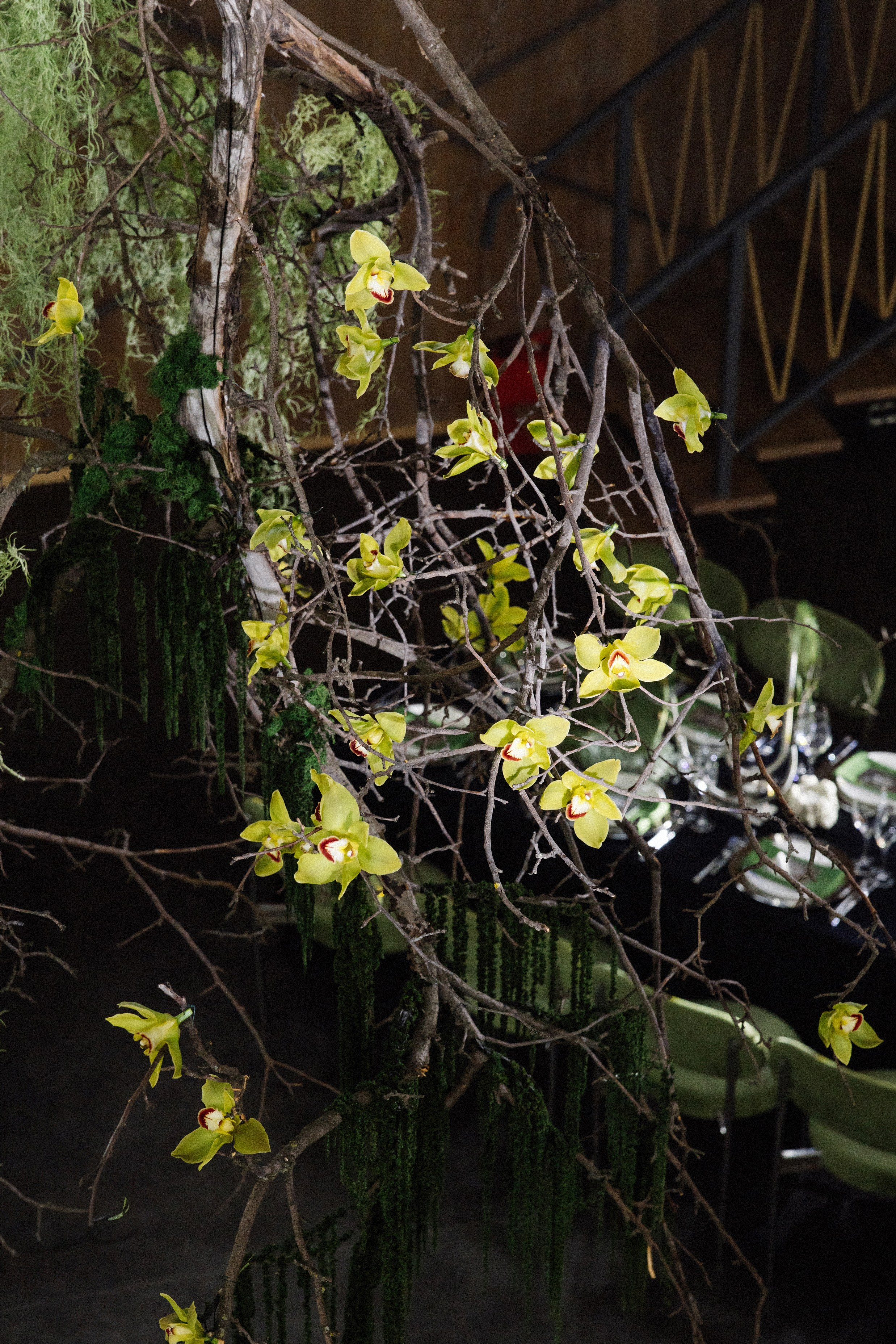 @avtors.agency. Свадебный и репортажный фотограф в Москве Владимир Сергеев | Naysaikolo