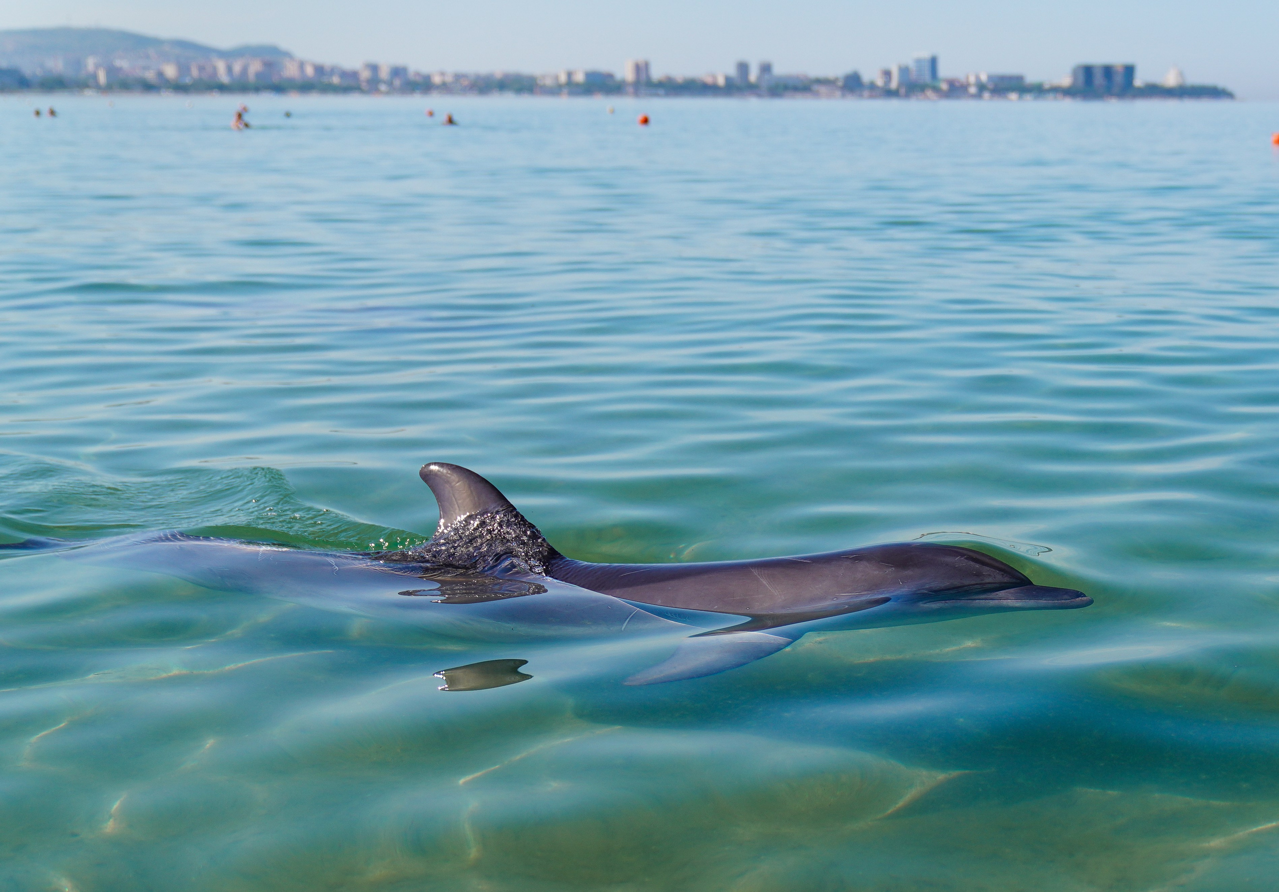 Анапа. Фотограф Сергей Кишкель Дананг Нячанг Фукуок
