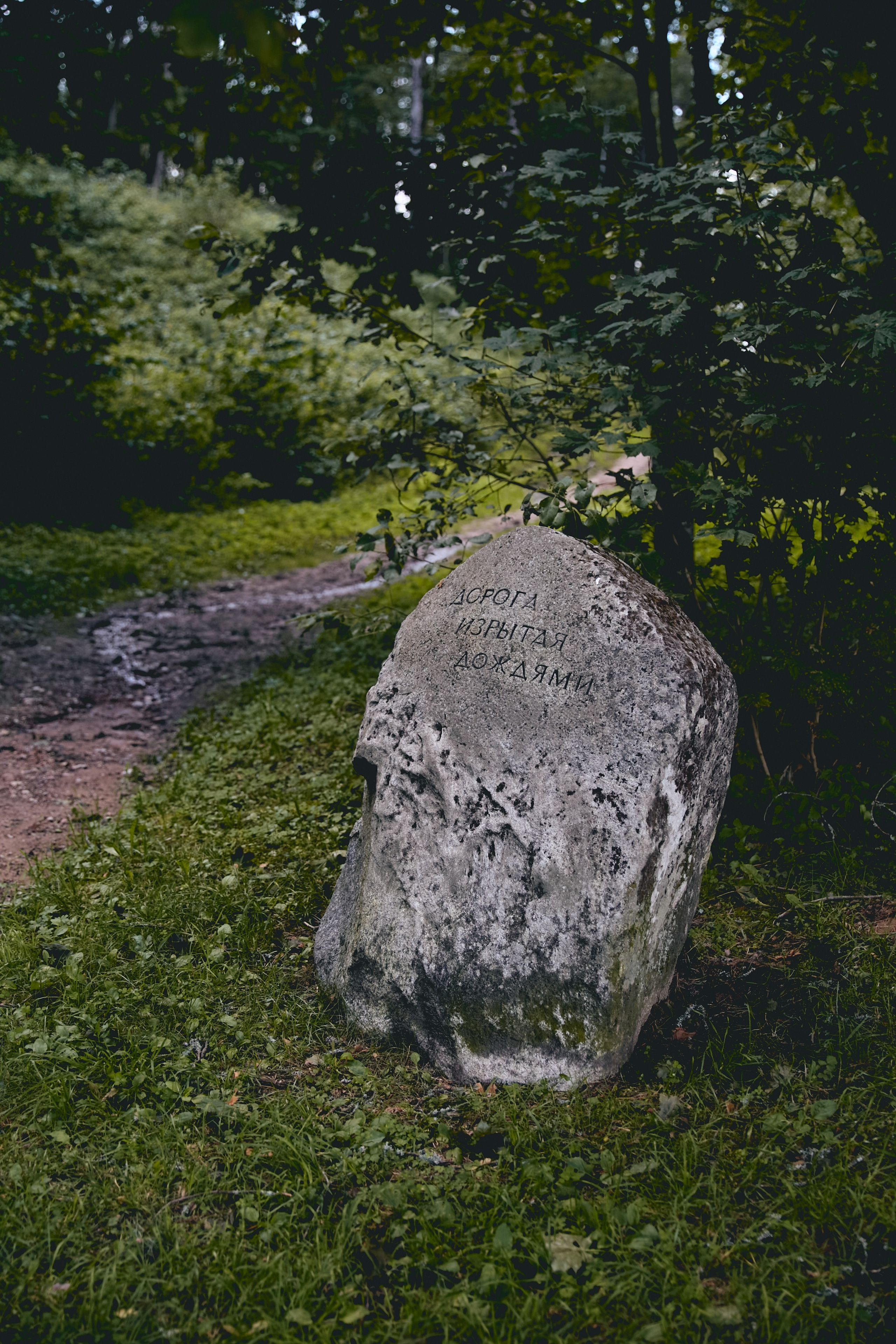 Пушкинские горы. Юлия Иванова. Фотограф для лучших моментов