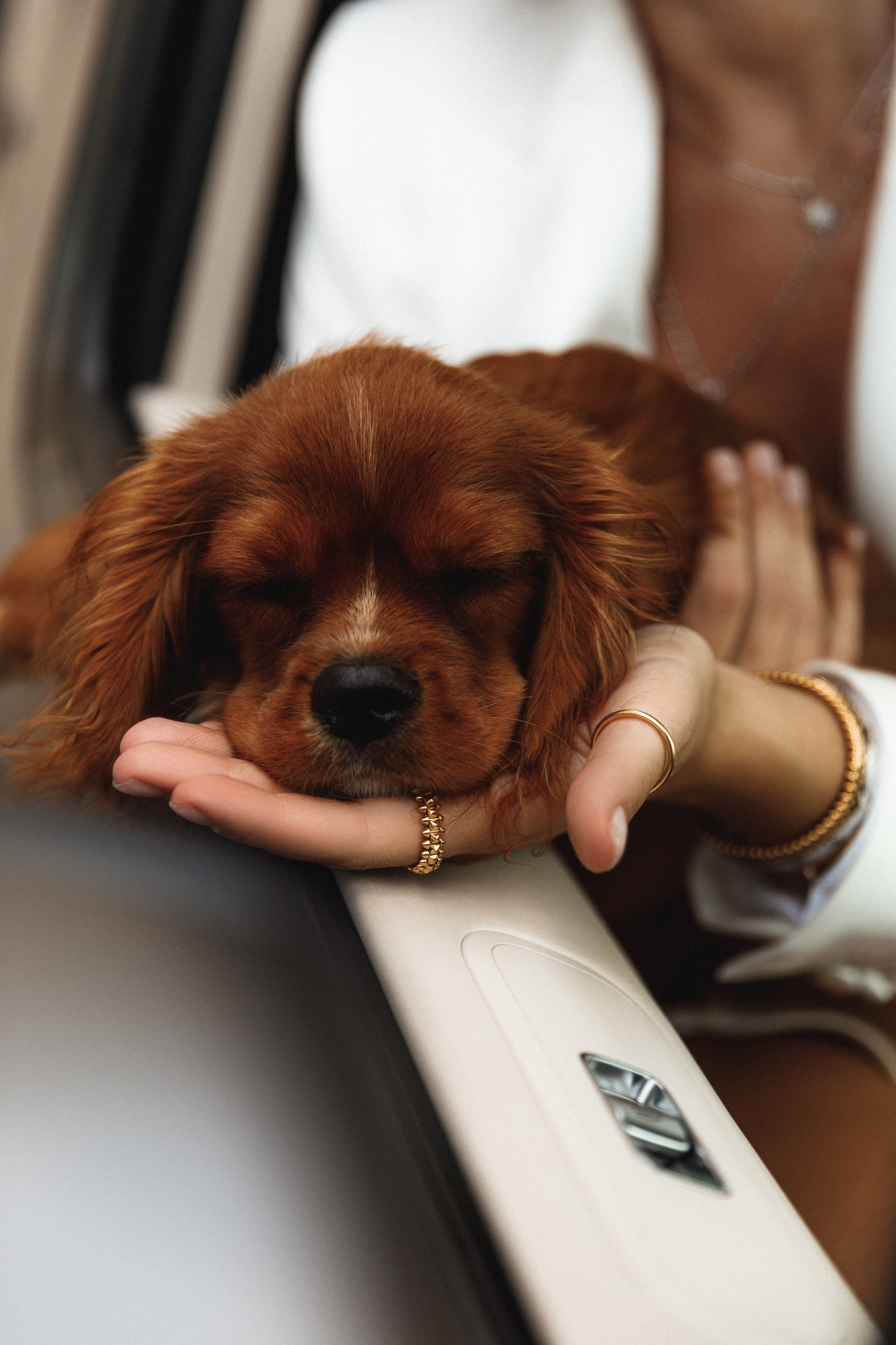 Фомина Оксана - профессиональный фотограф в Самаре