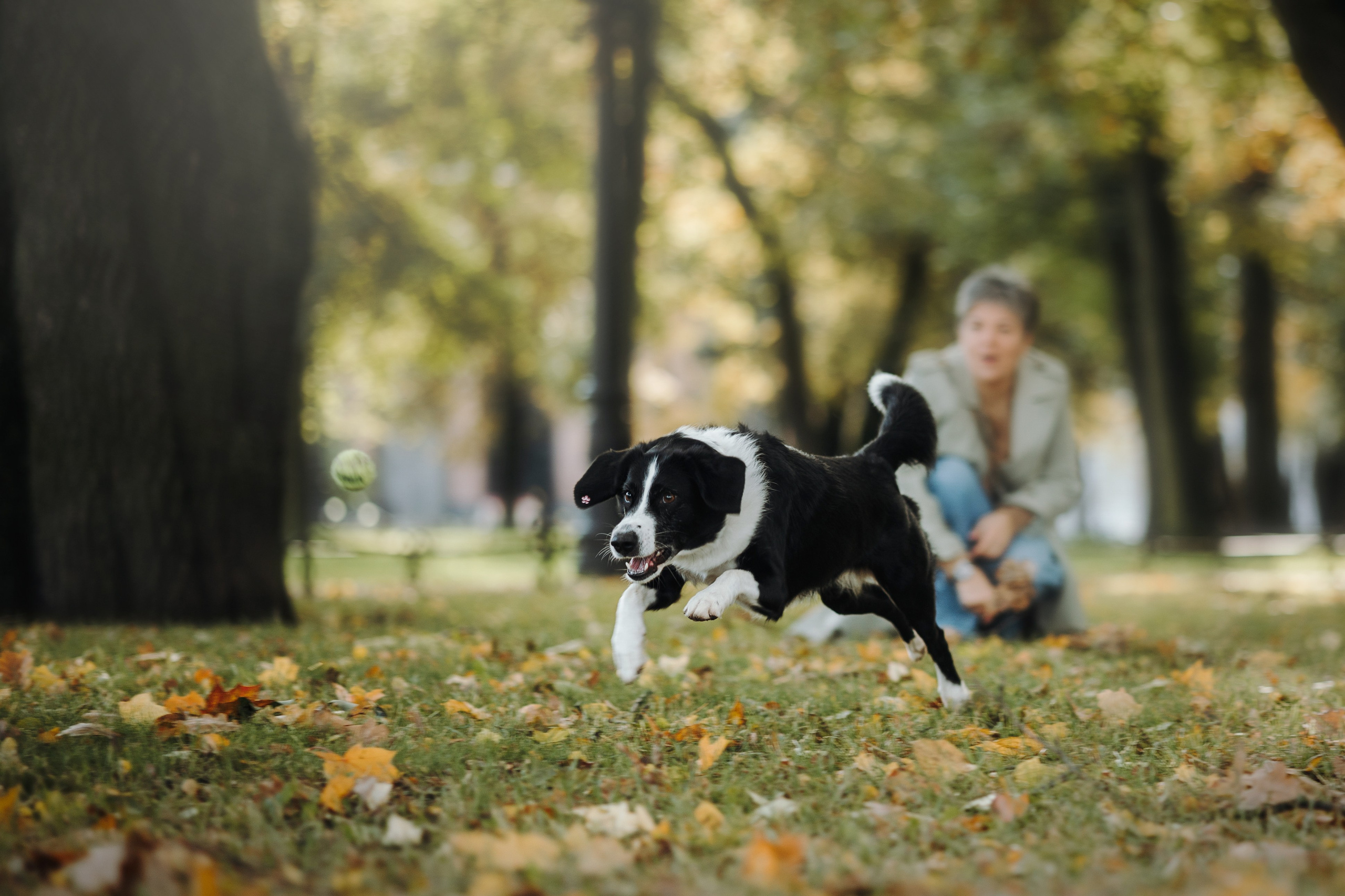 Мишель и ее семья. Фотограф — Анималист | Санкт-Петербург