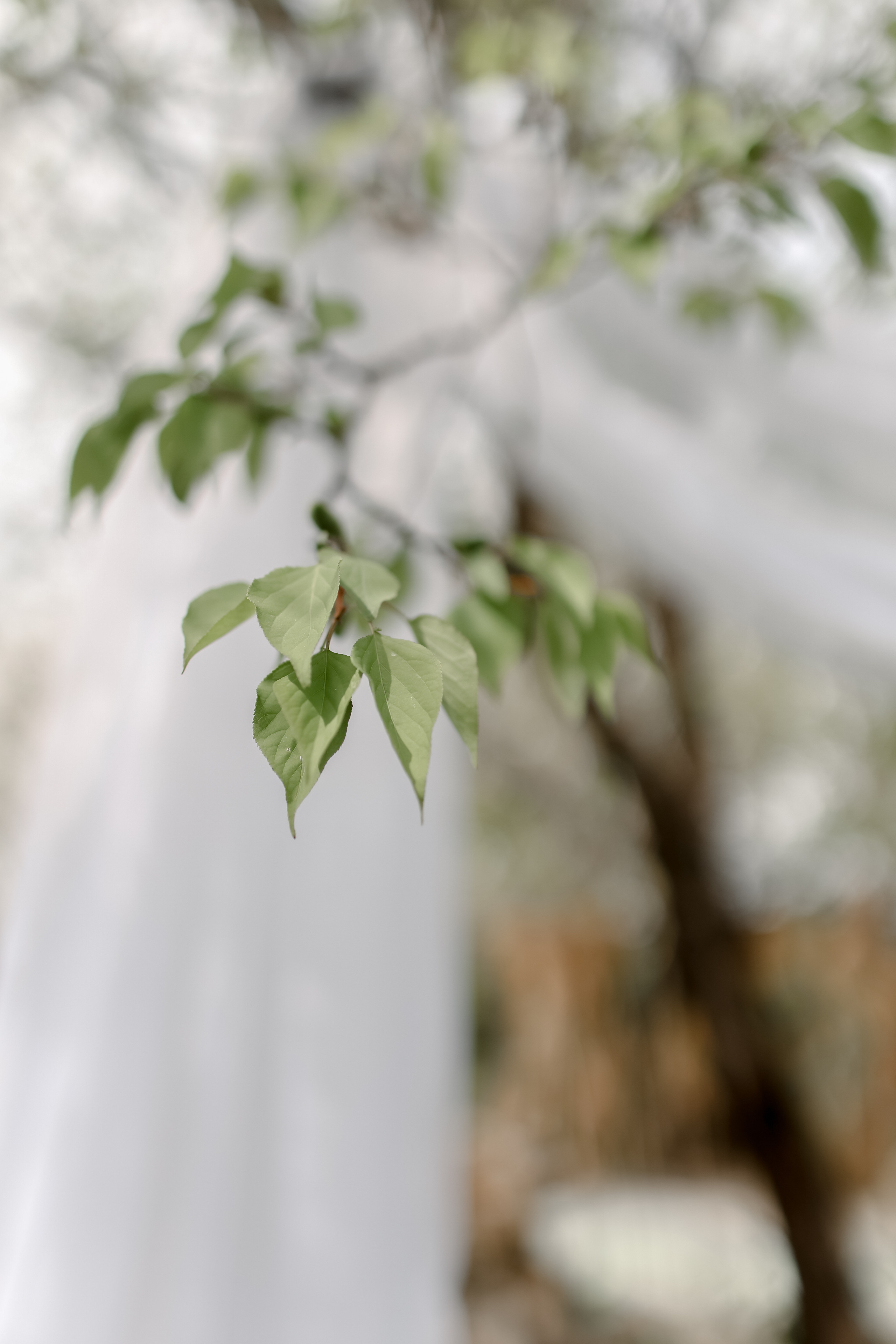 Timur & Rita. Свадебный фотограф Ольга Веремчук