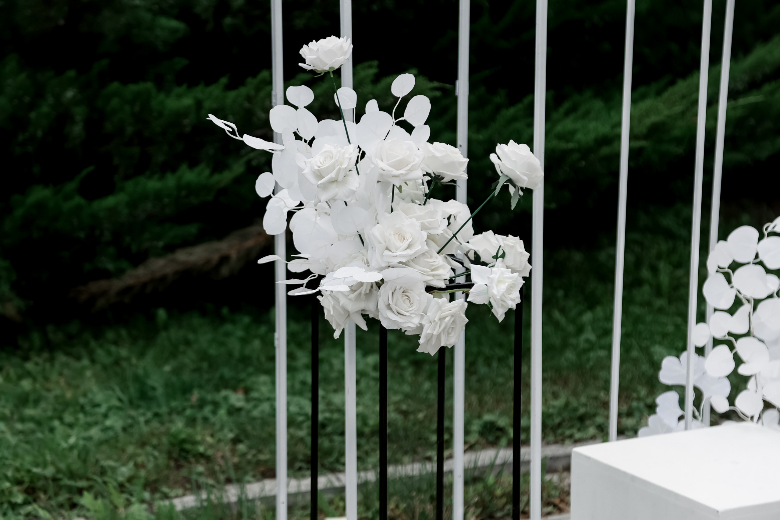 Black & White. Свадебный фотограф Ольга Веремчук