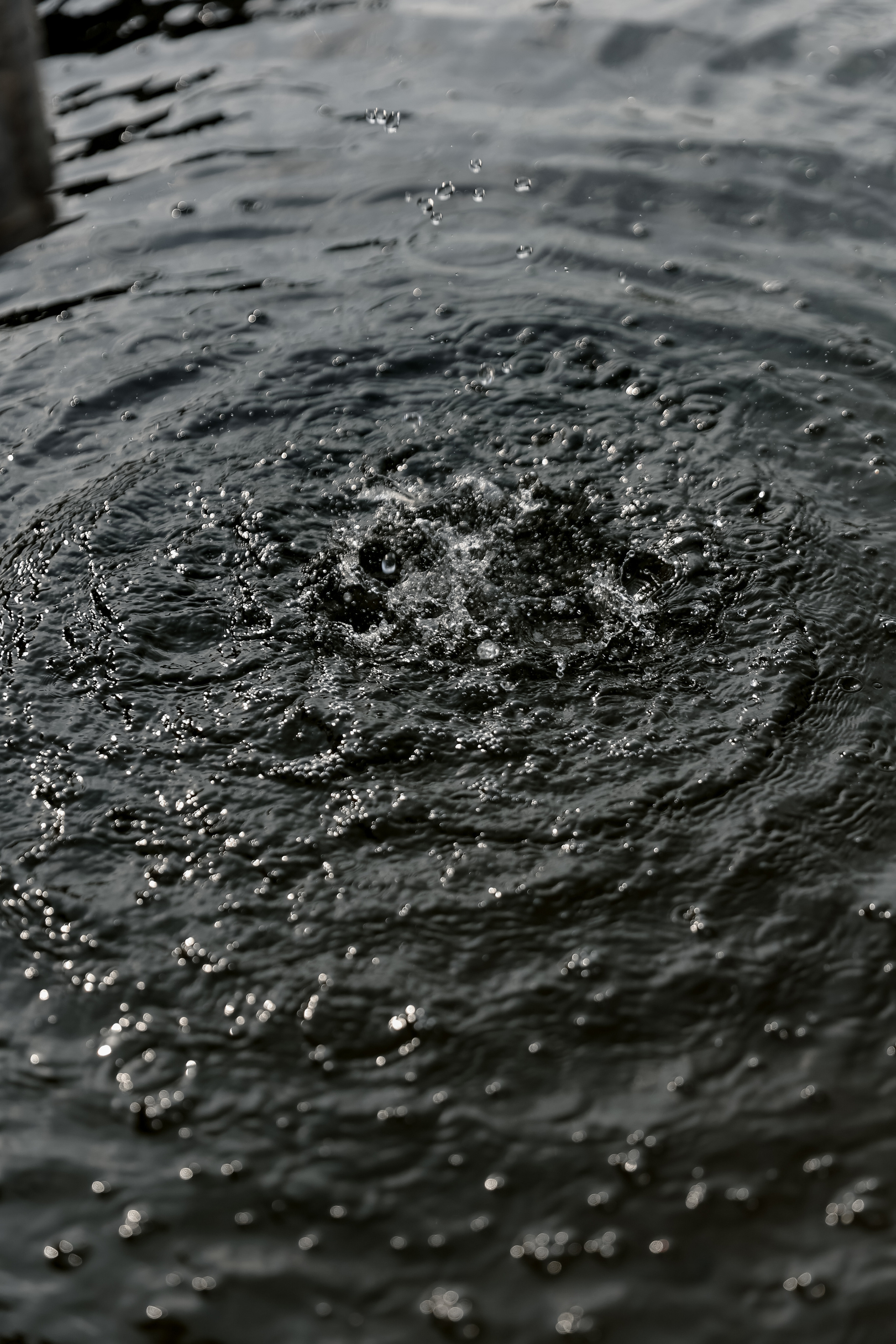 A & A. Свадебный фотограф Ольга Веремчук