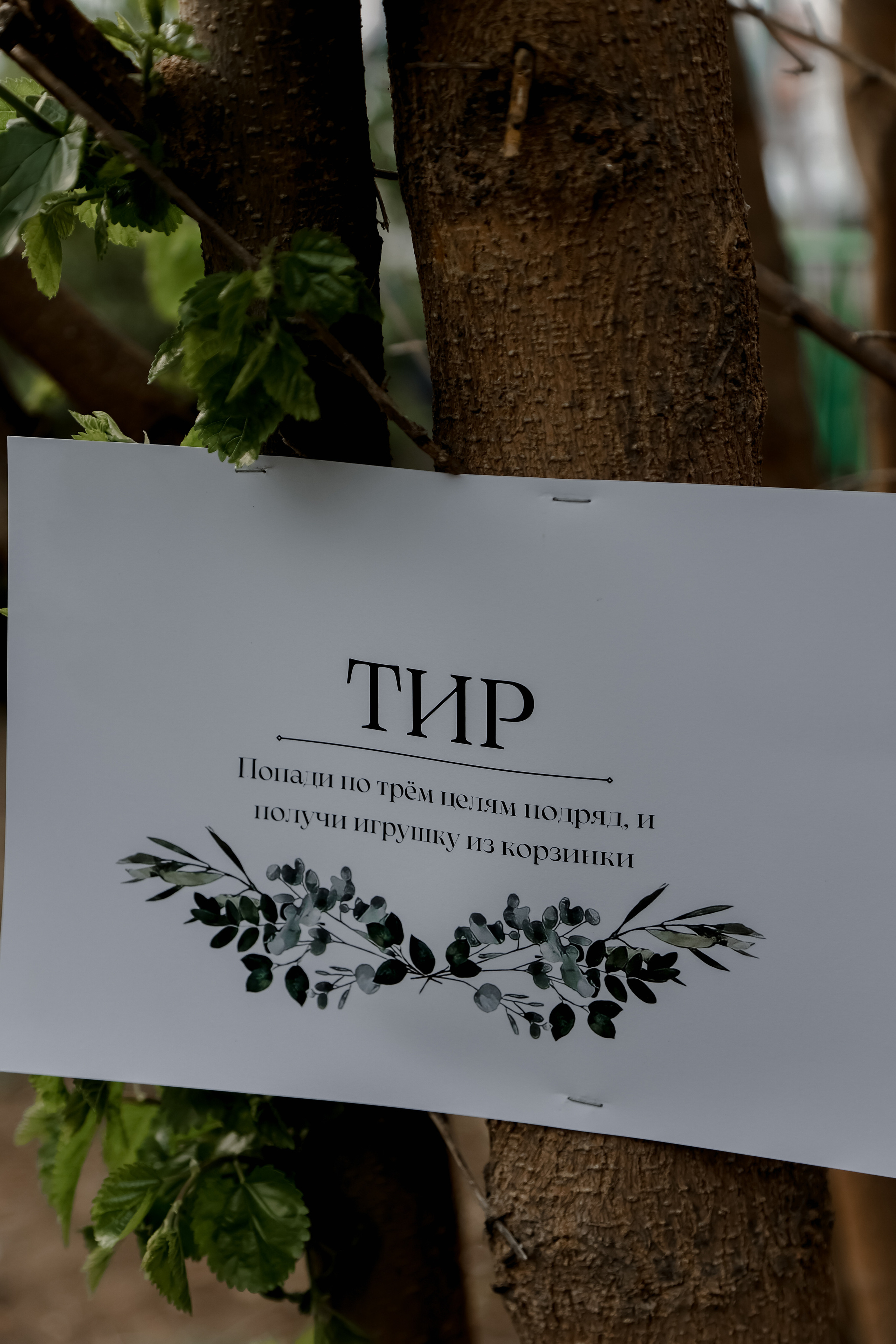 Timur & Rita. Свадебный фотограф Ольга Веремчук