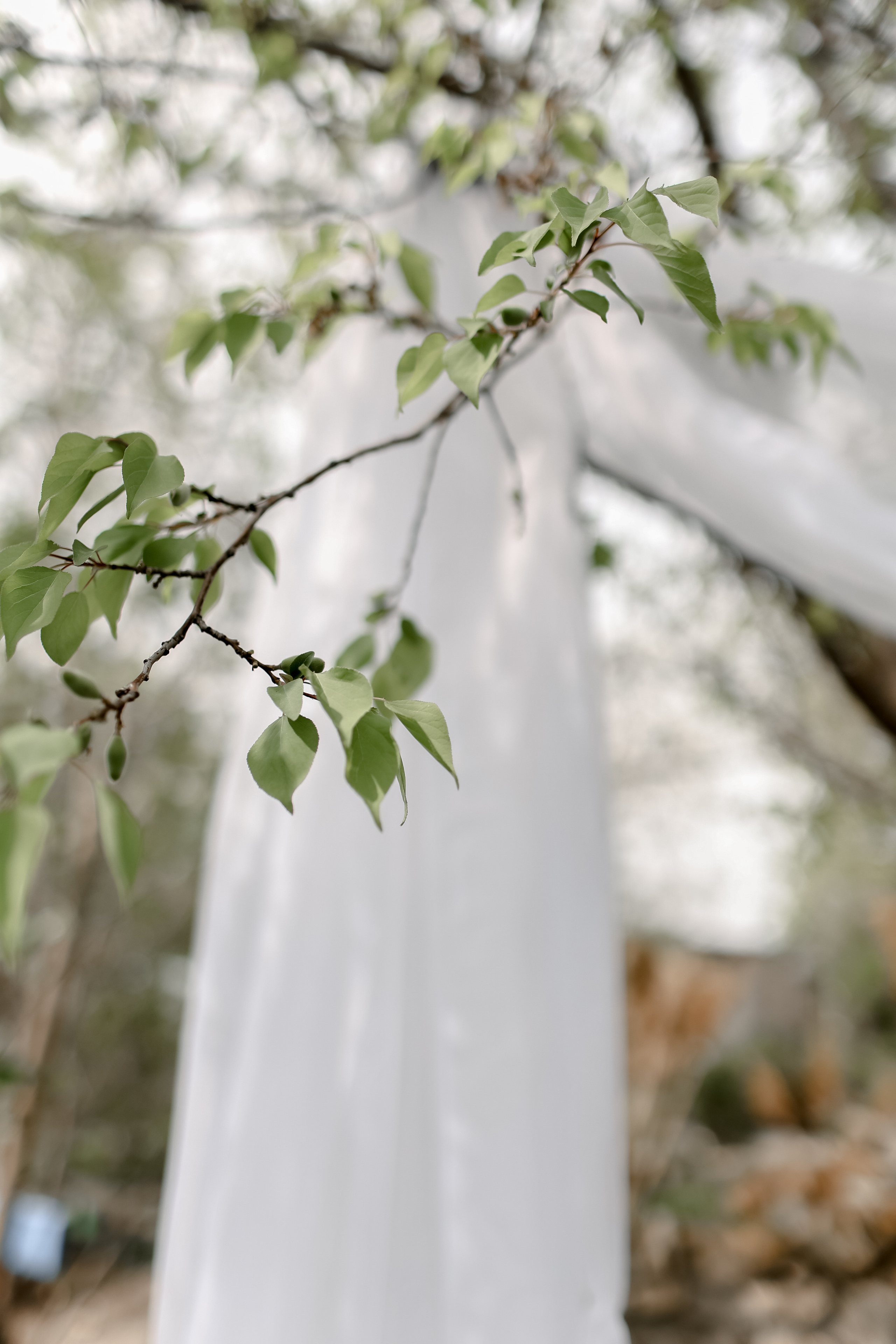 Timur & Rita. Свадебный фотограф Ольга Веремчук