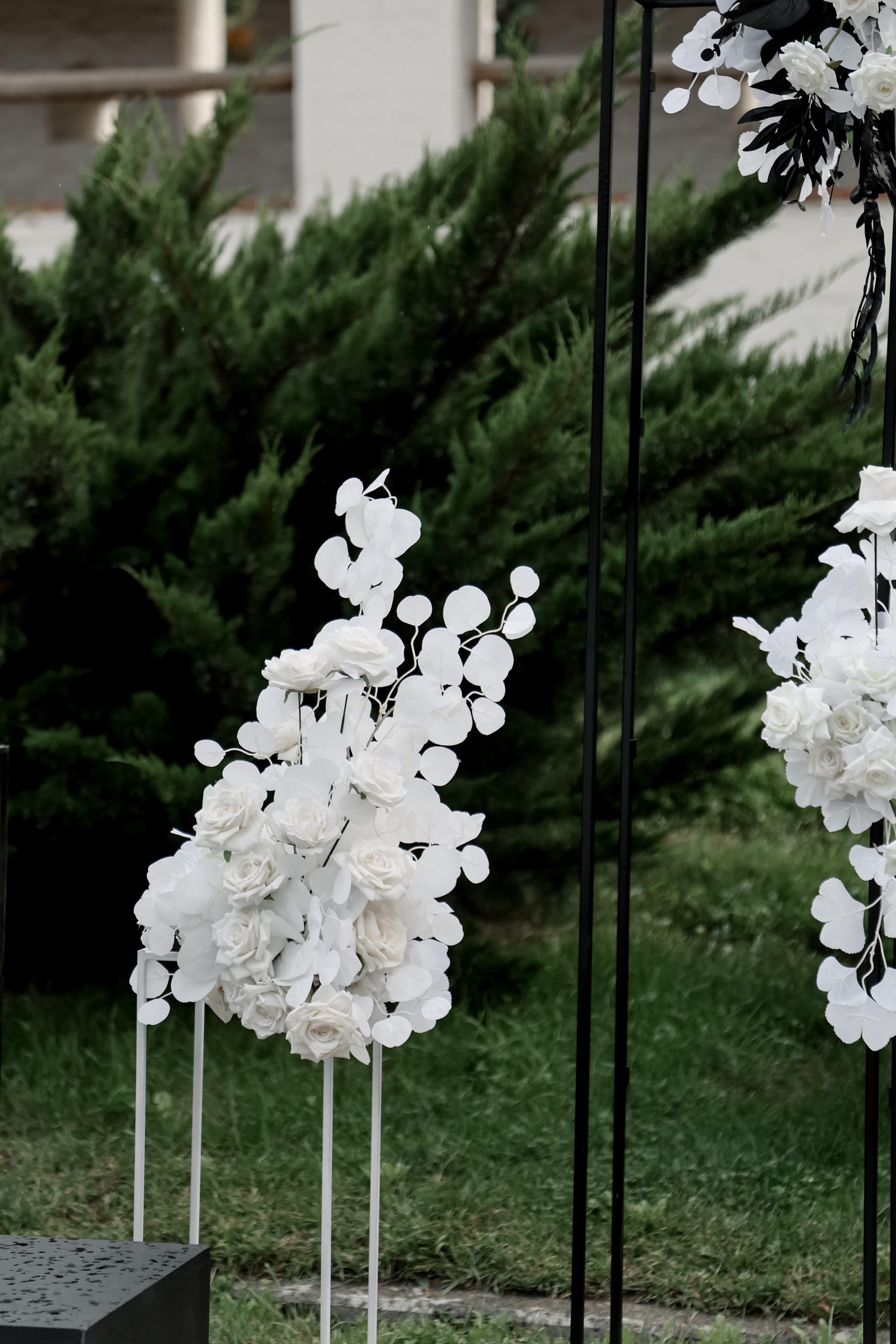 Black & White. Свадебный фотограф Ольга Веремчук