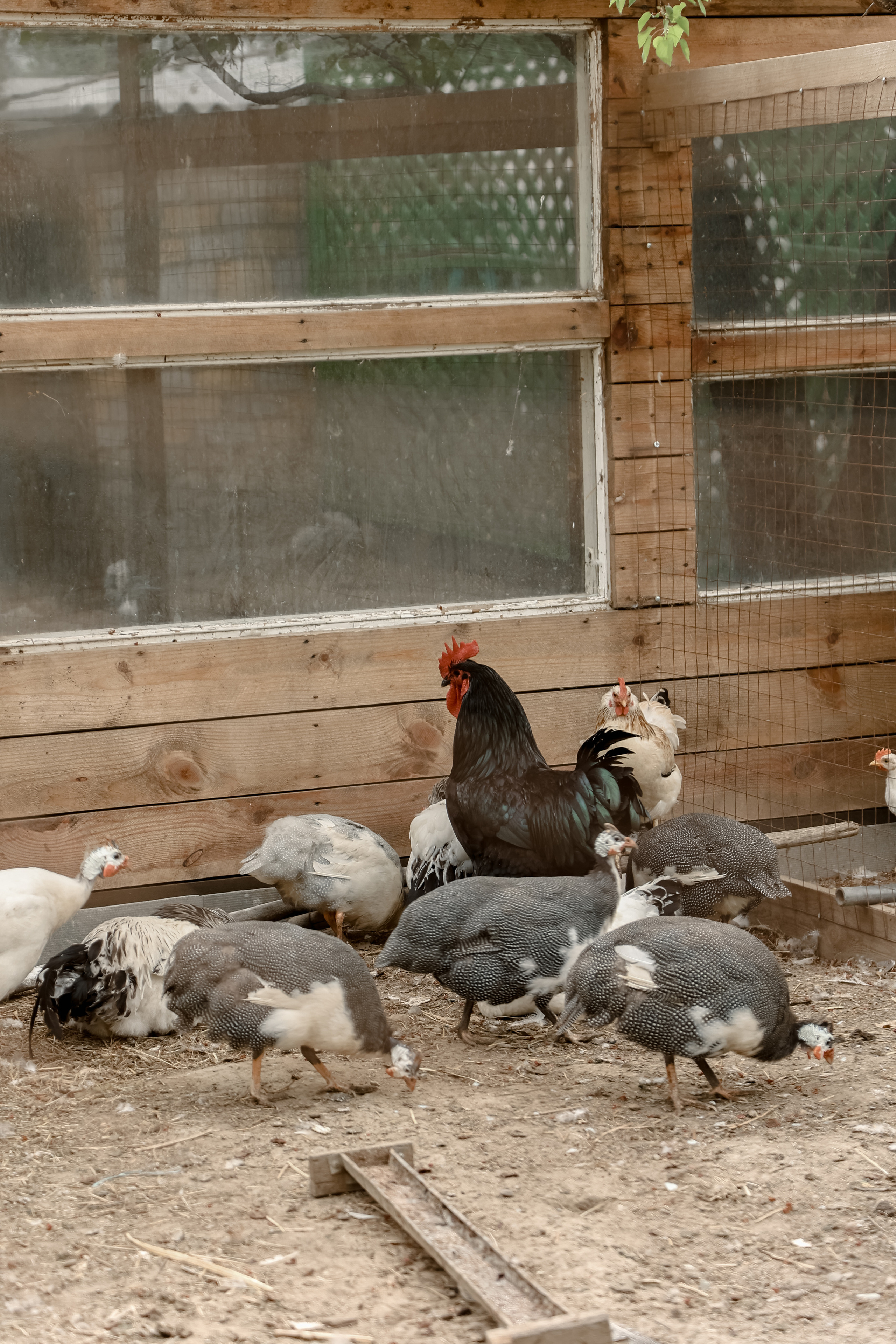 Timur & Rita. Свадебный фотограф Ольга Веремчук
