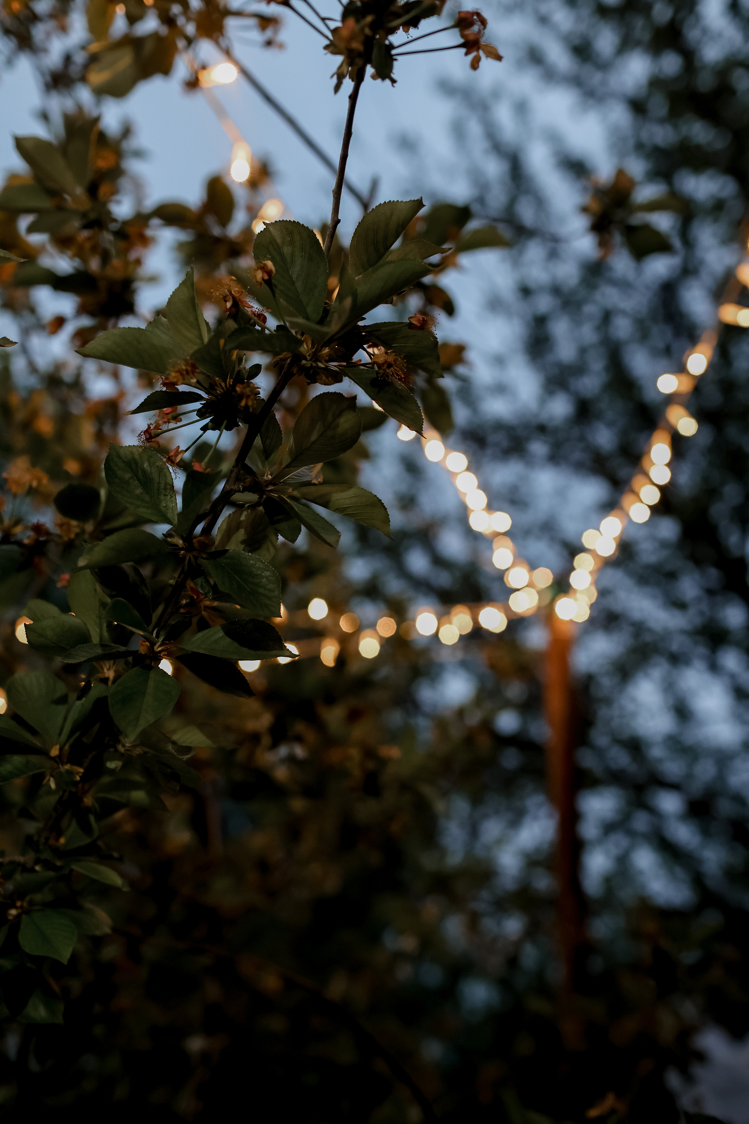 Timur & Rita. Свадебный фотограф Ольга Веремчук