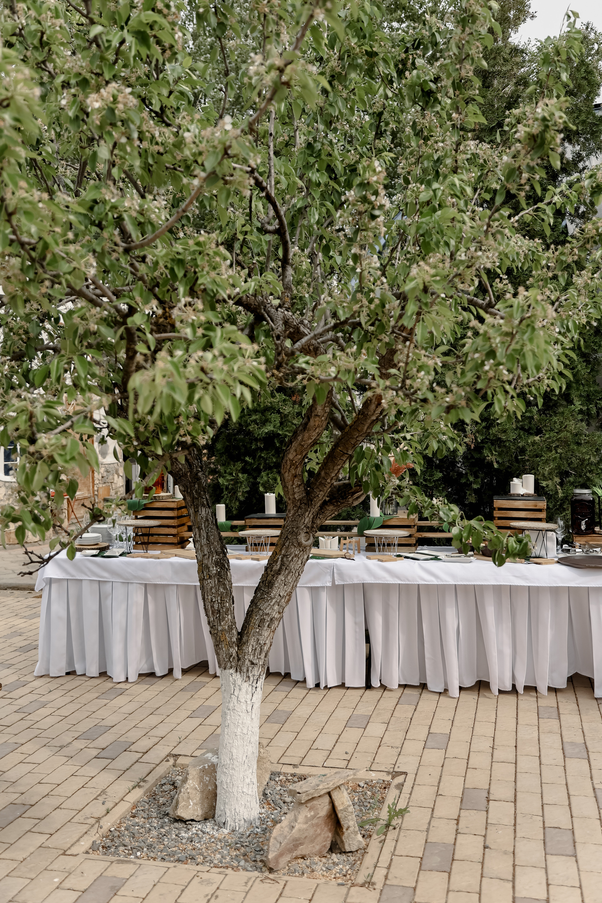 Timur & Rita. Свадебный фотограф Ольга Веремчук