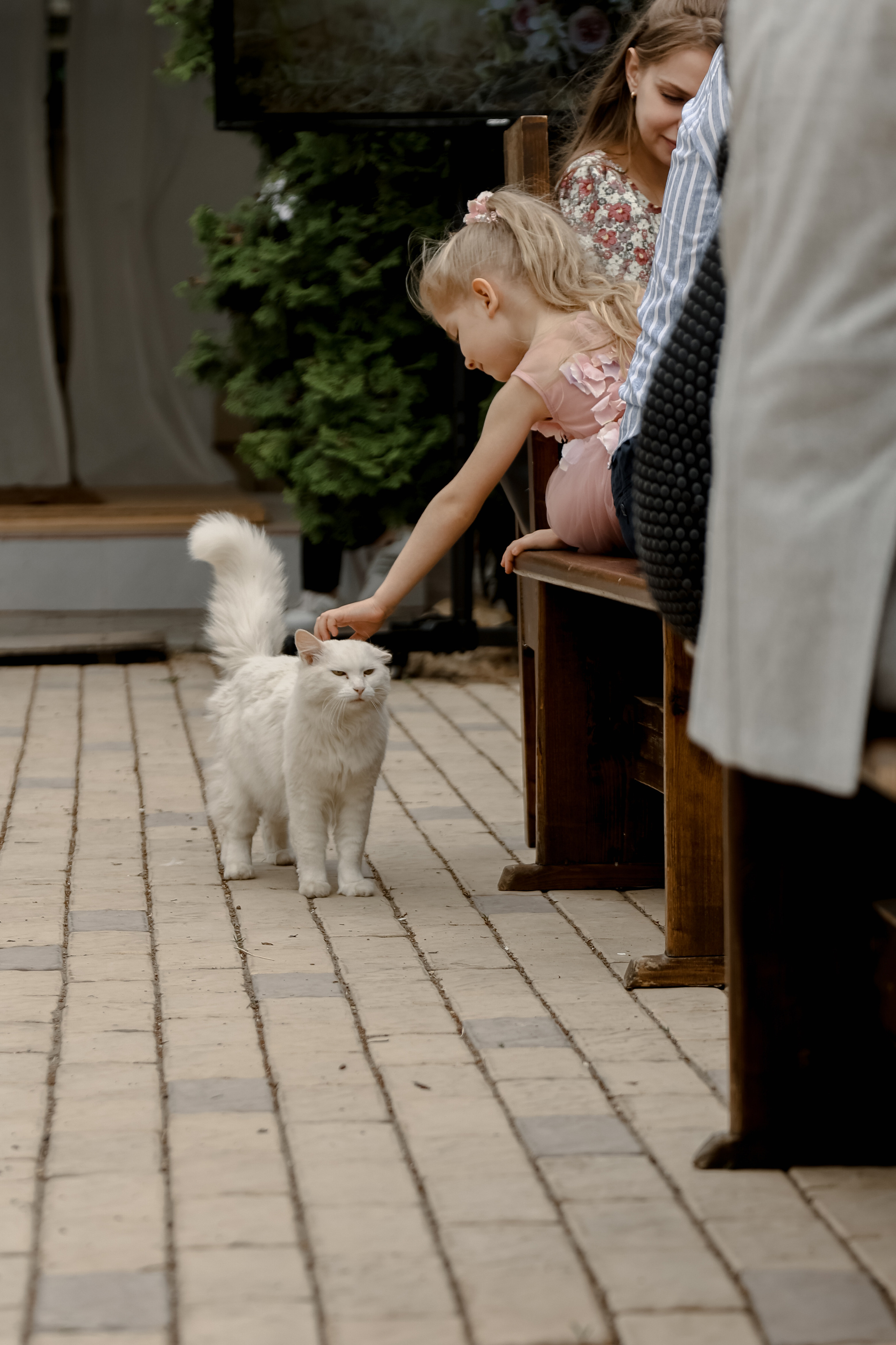 Timur & Rita. Свадебный фотограф Ольга Веремчук
