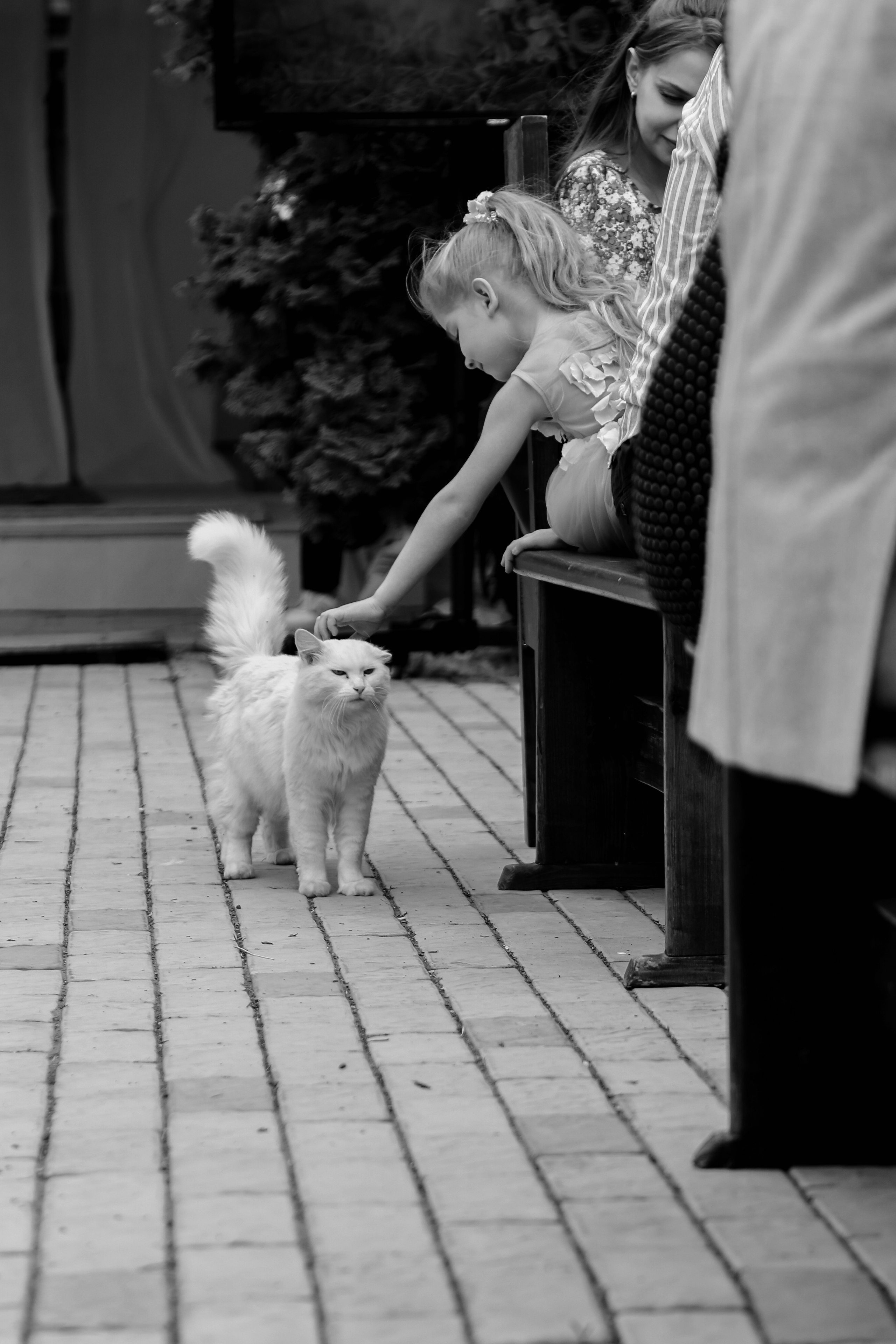 Timur & Rita. Свадебный фотограф Ольга Веремчук