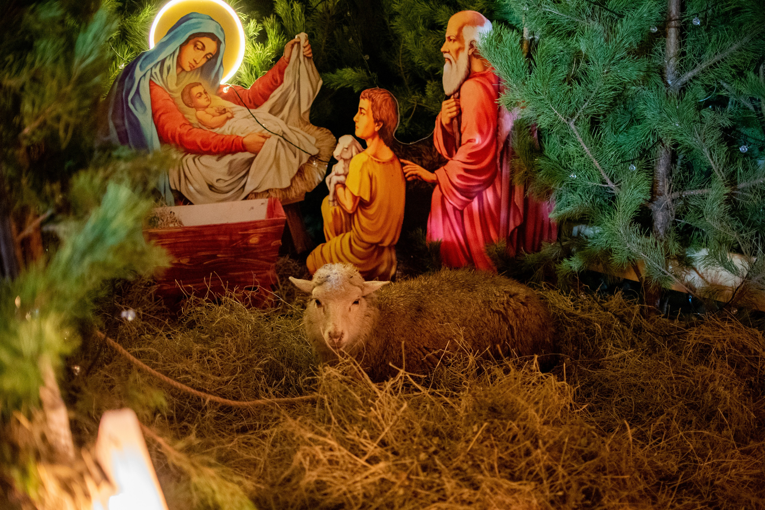 Литургия на Рождество 6.01.2023. Семейный и свадебный фотограф в Феодосии и Коктебеле