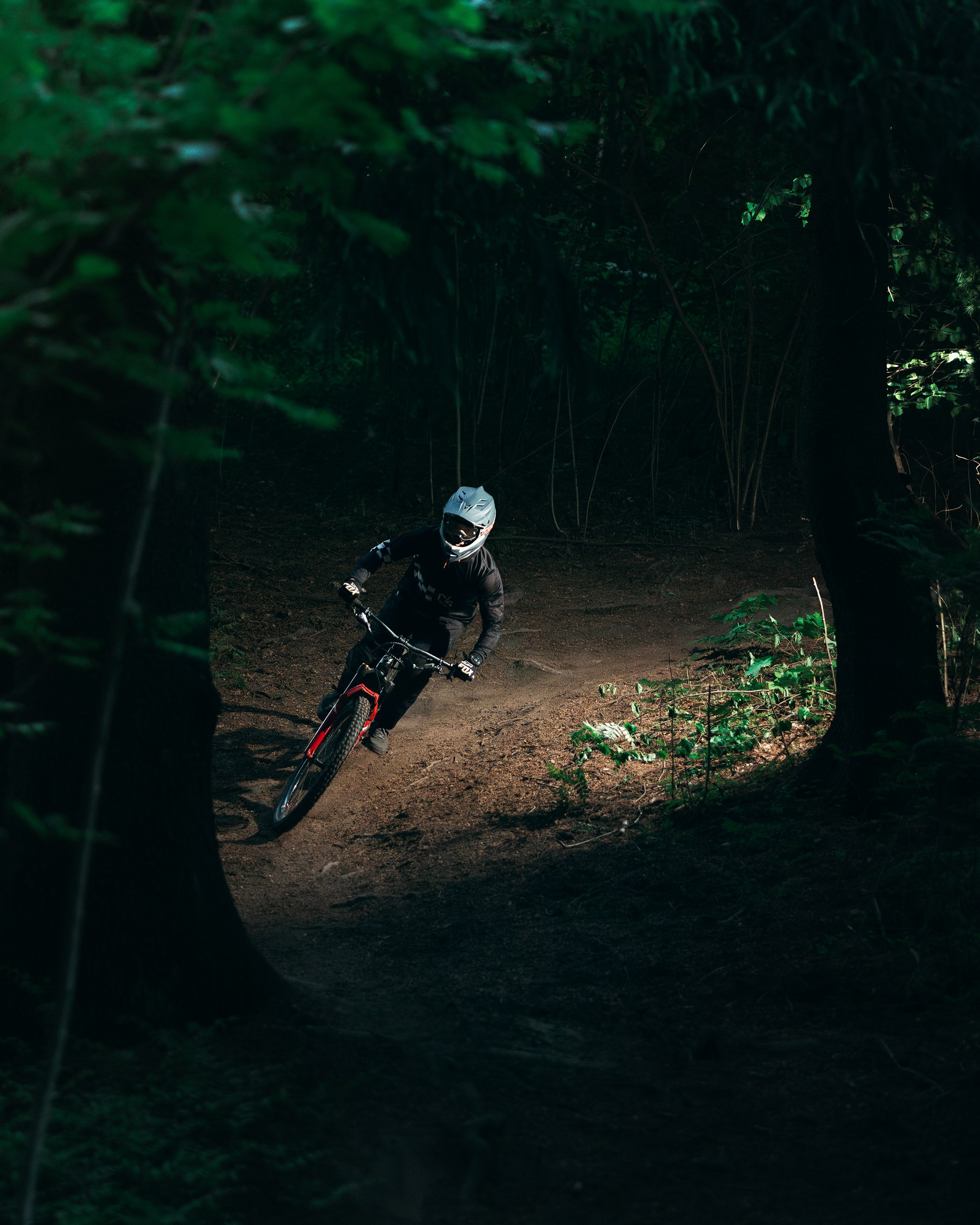 Саша и Ваня. Фотограф анималист Никита Натальный