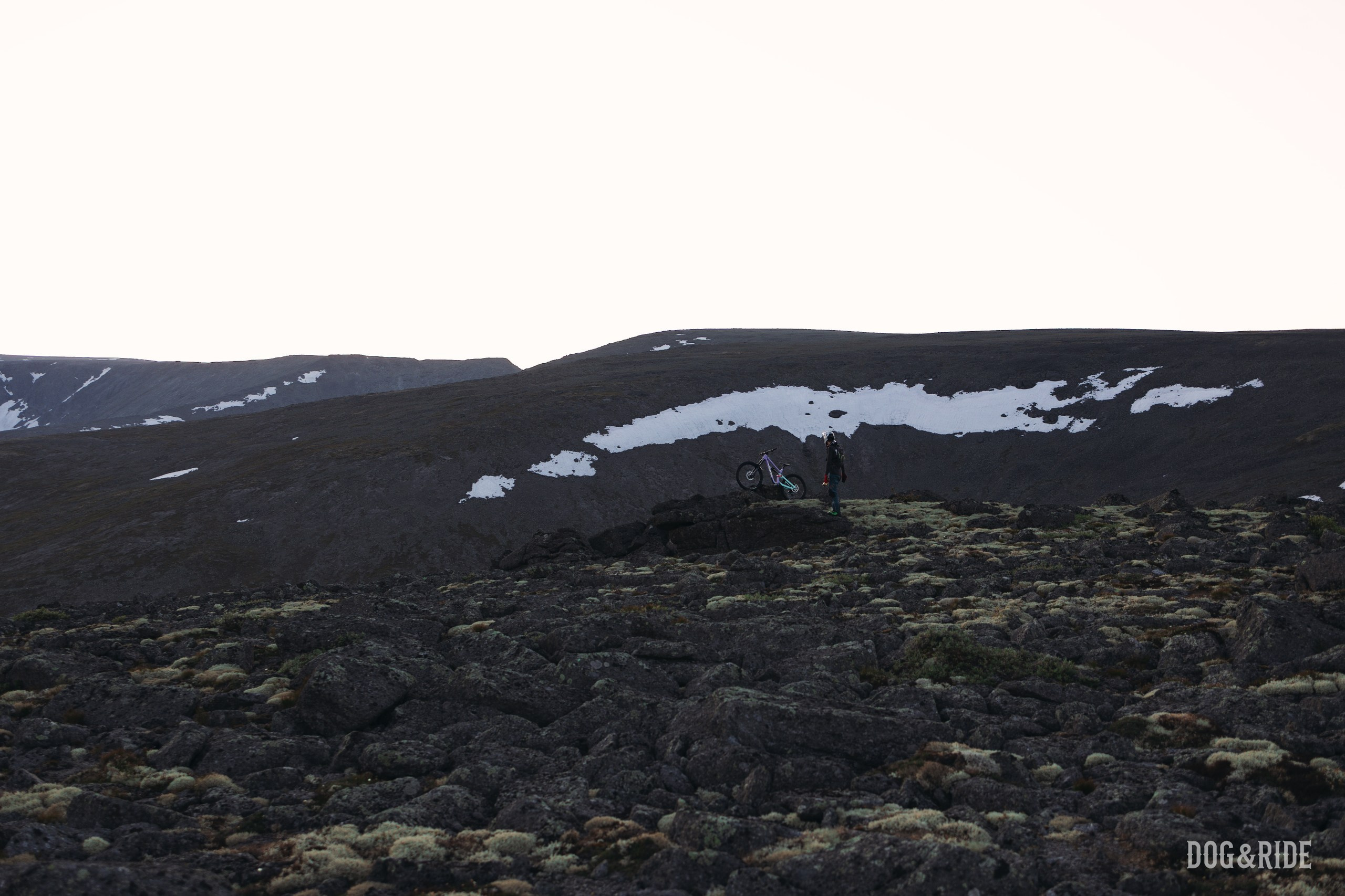Хибины. Фотограф анималист Никита Натальный