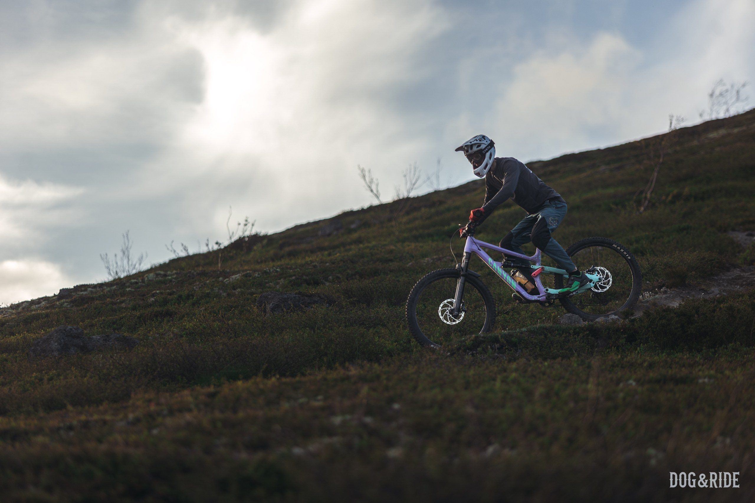 Хибины. Фотограф анималист Никита Натальный