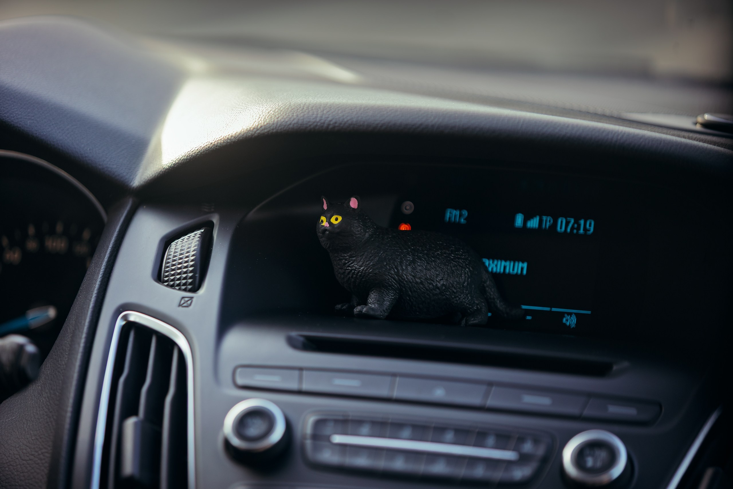 Кандалакшка. Фотограф анималист Никита Натальный