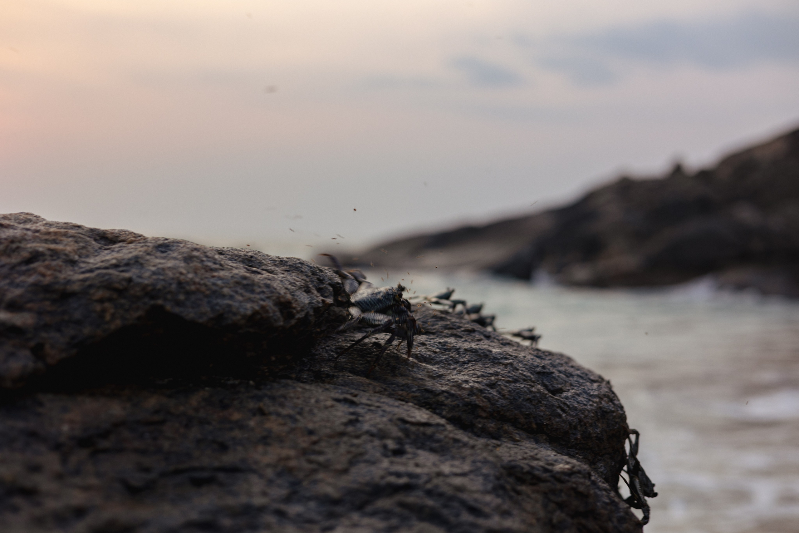 Амбалангода. Фотограф Сонкина Татьяна