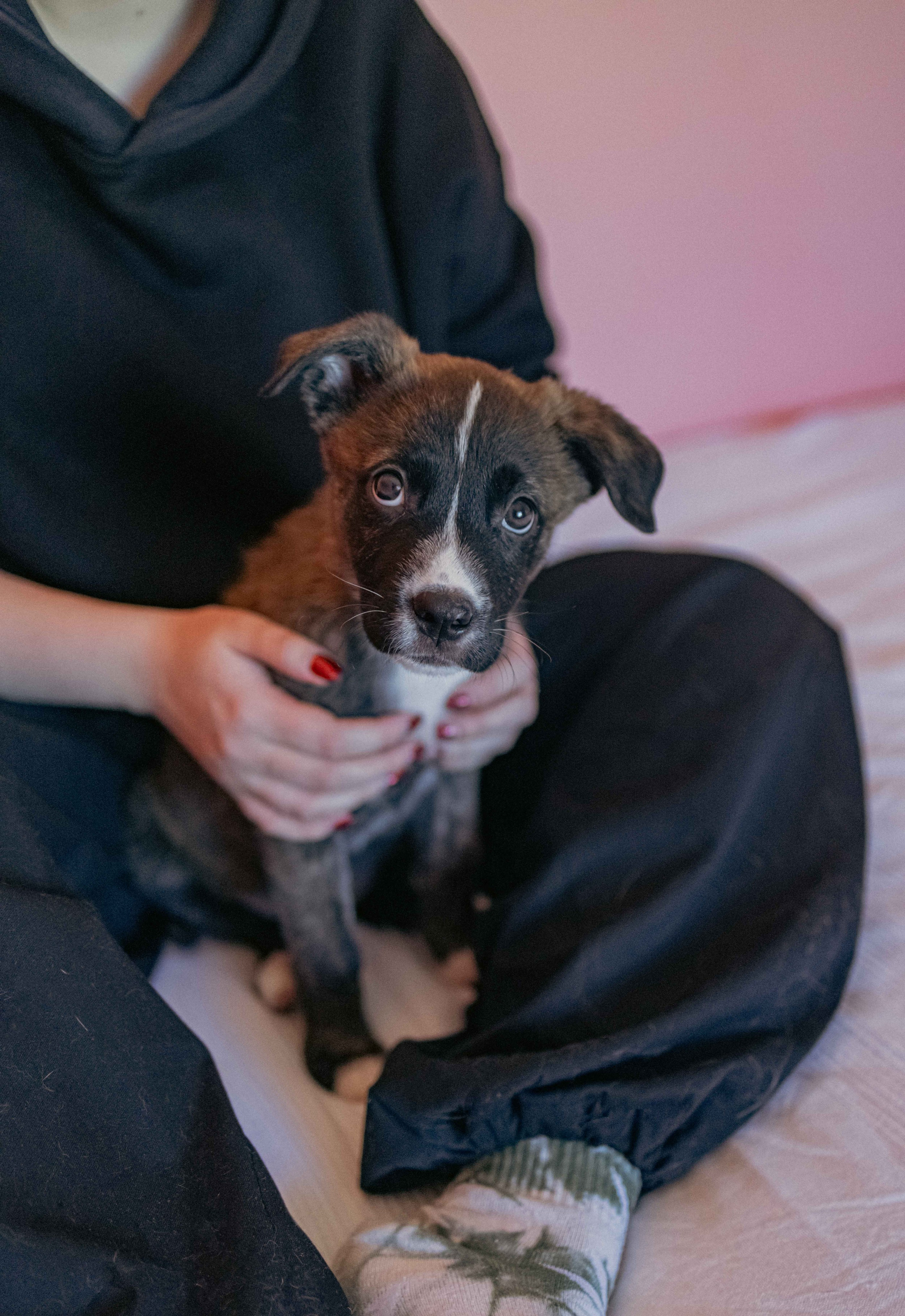 Гайка. Фотограф-анималист в Москве Лера Черноног