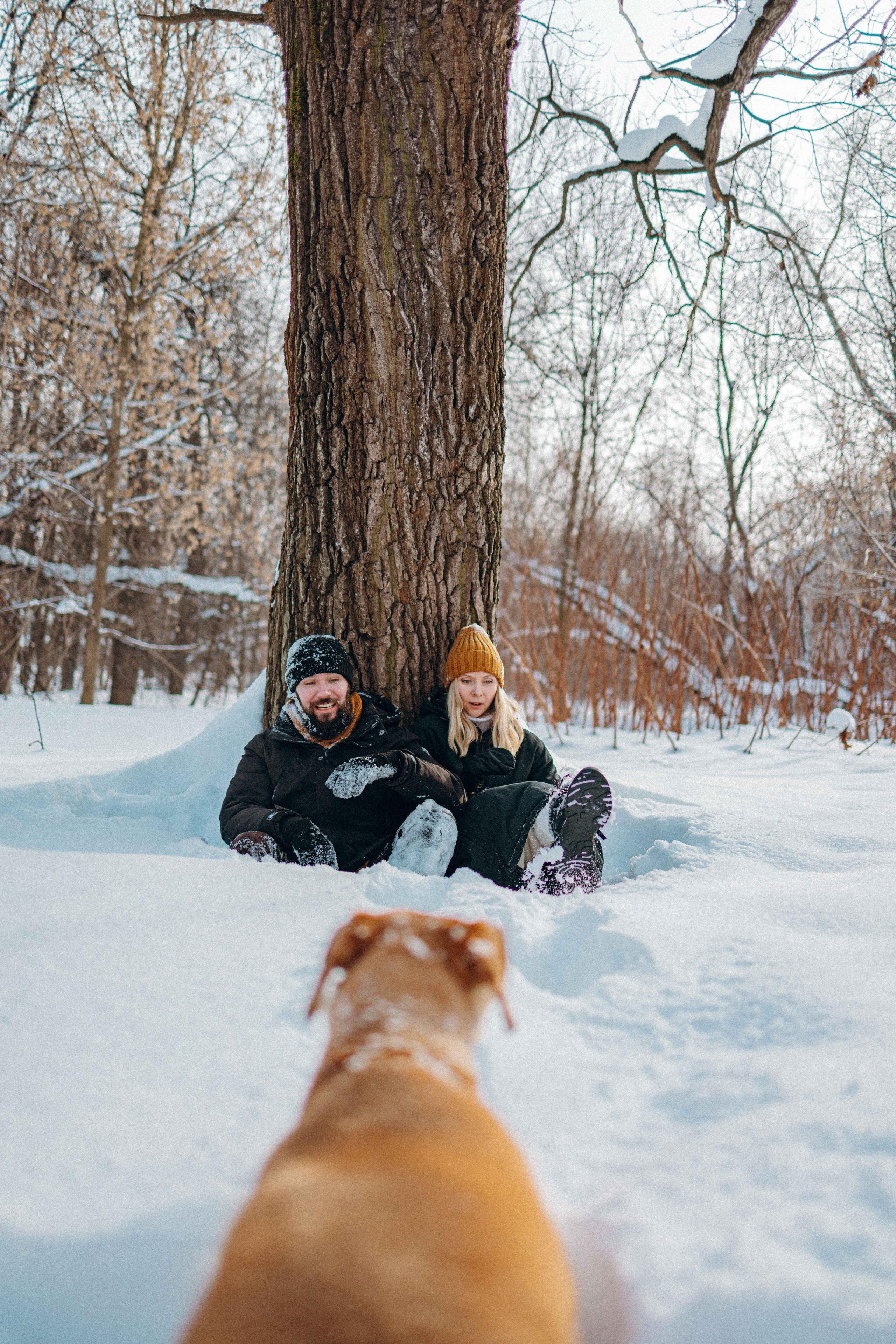 Свобода и ее семья. Фотограф-анималист в Москве Лера Черноног