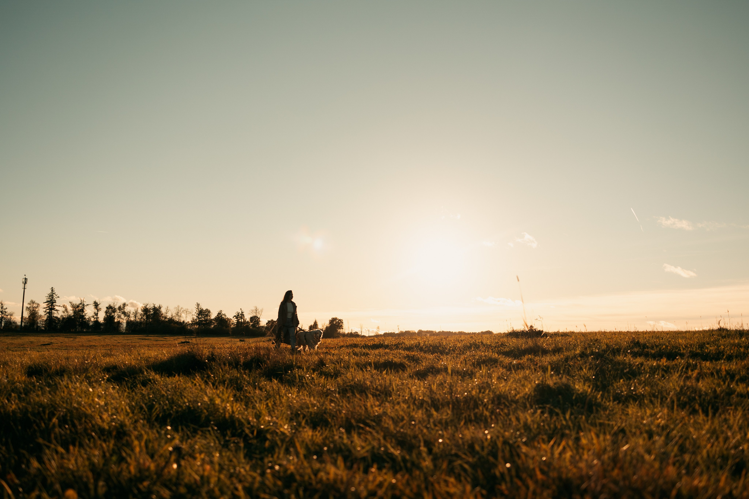 Лера и Скай. Фотограф — Анималист | Санкт-Петербург