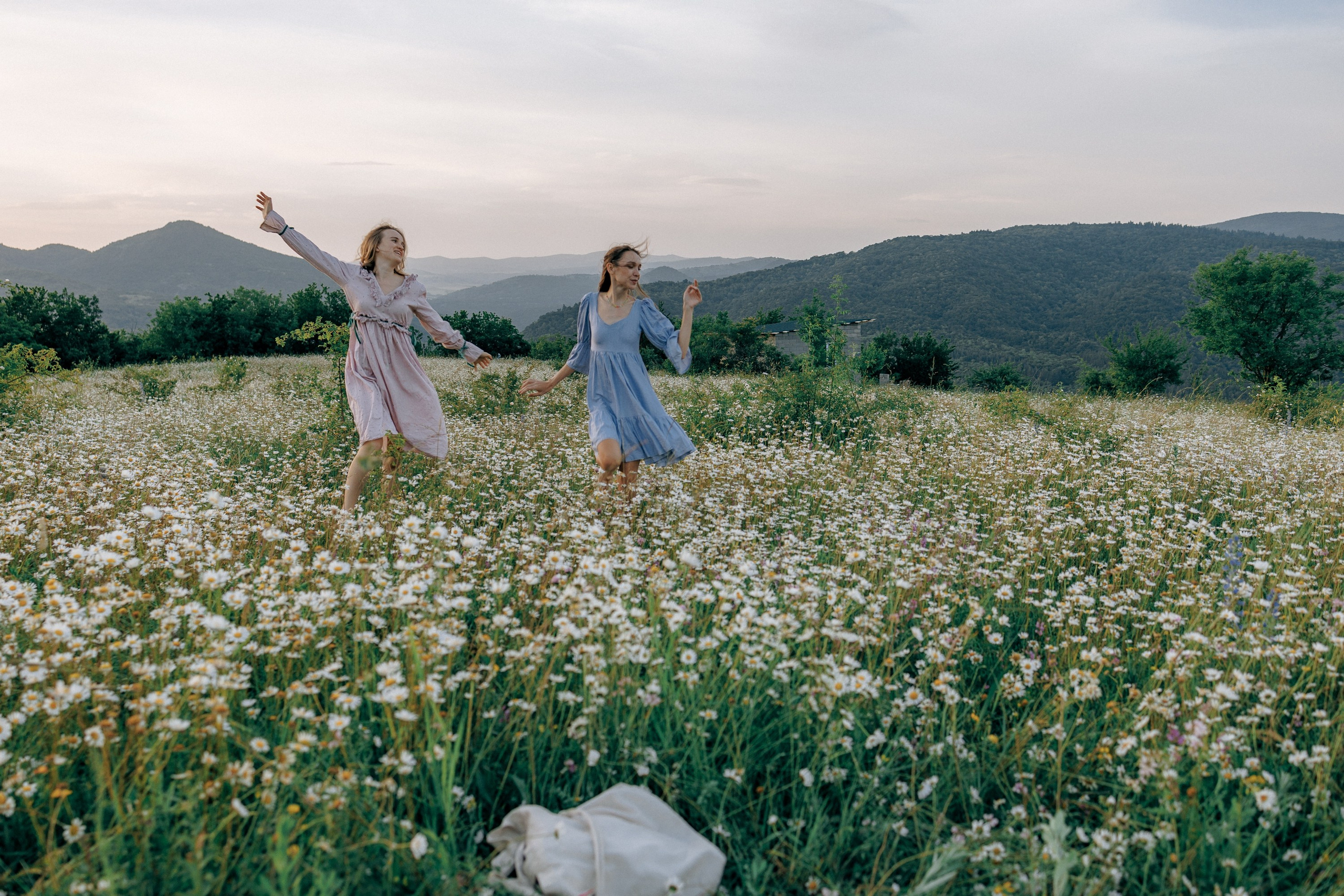 Picnic in the chamomile field in Georgia. Fedor Lemeshko — Destination Wedding and Family Lifestyle photographer