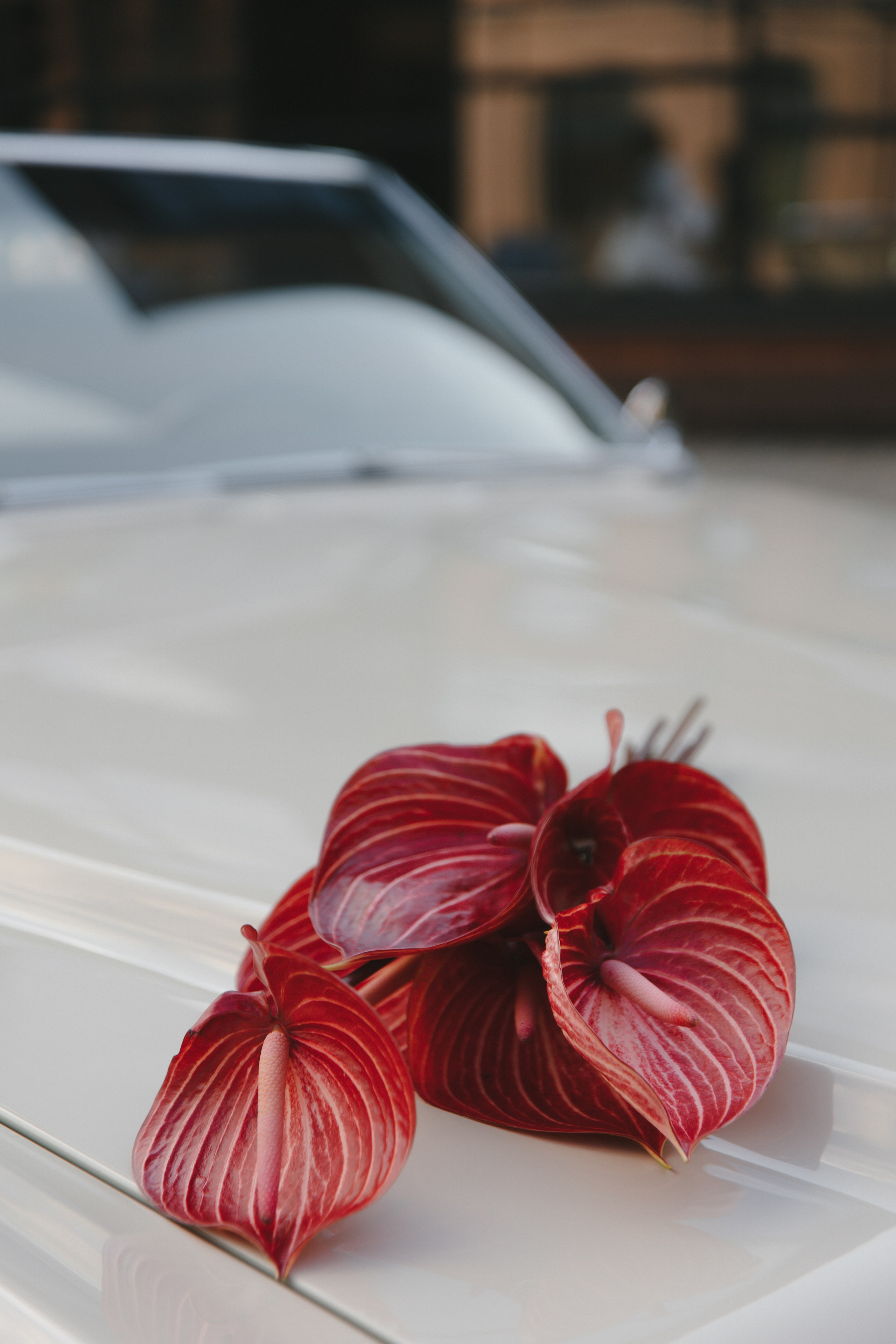 Indira. Главная