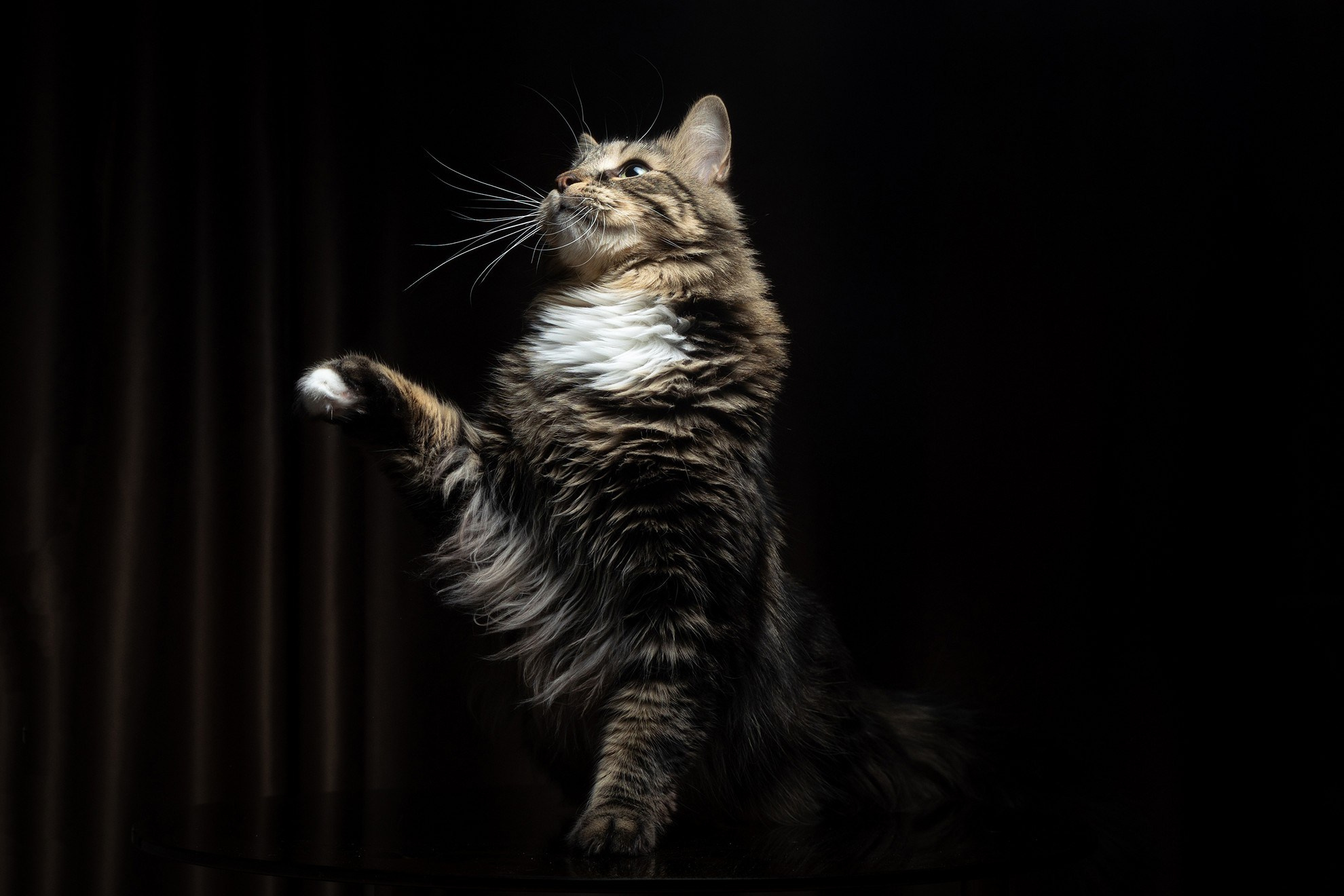 Лека и Дар. Свадебный и репортажный фотограф в Москве и Московской области