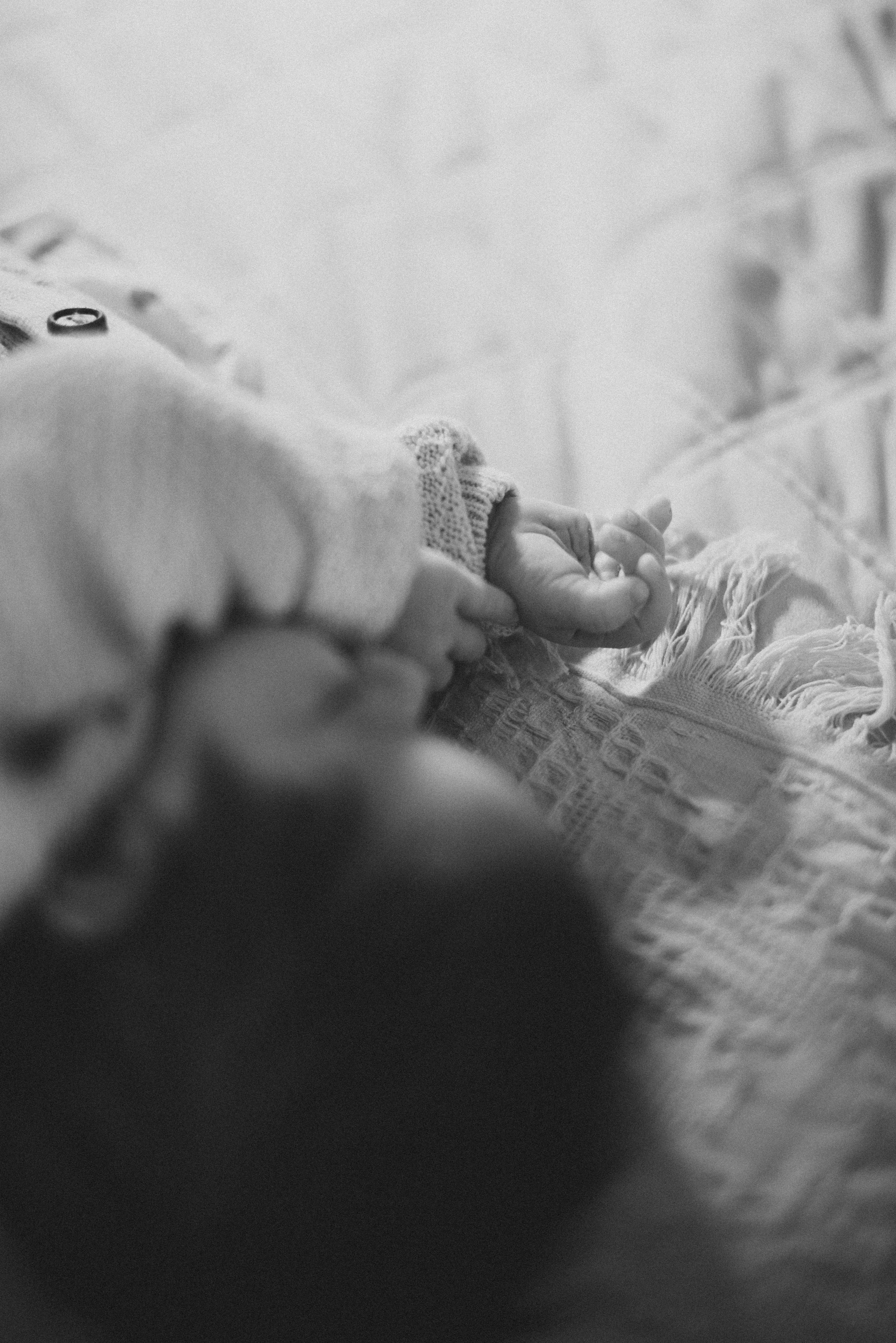 Филалла и Теона. Семейный фотограф в г. Ставрополь, Сорокина Мария