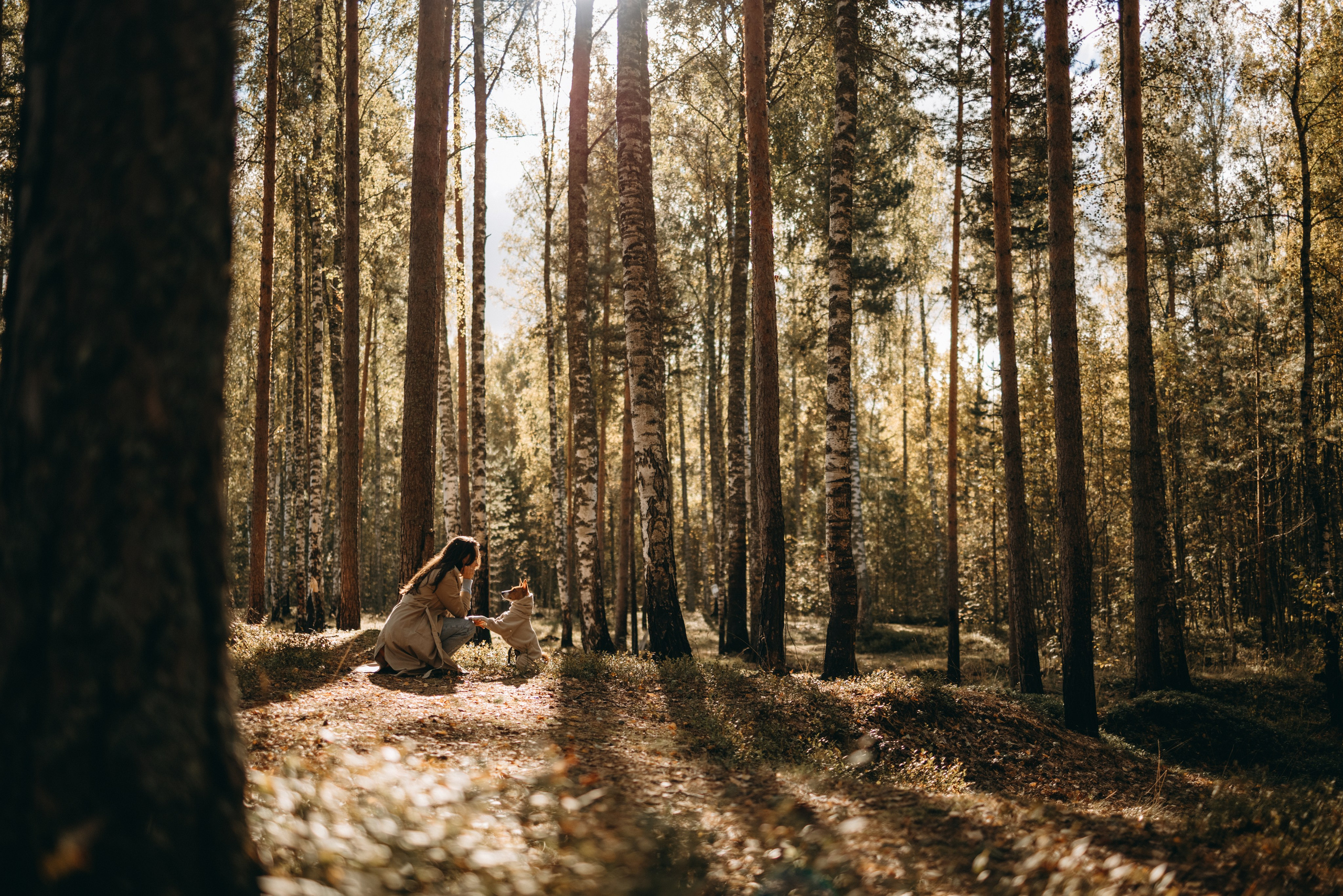 Алиса и Лео. Фотограф — Анималист | Санкт-Петербург