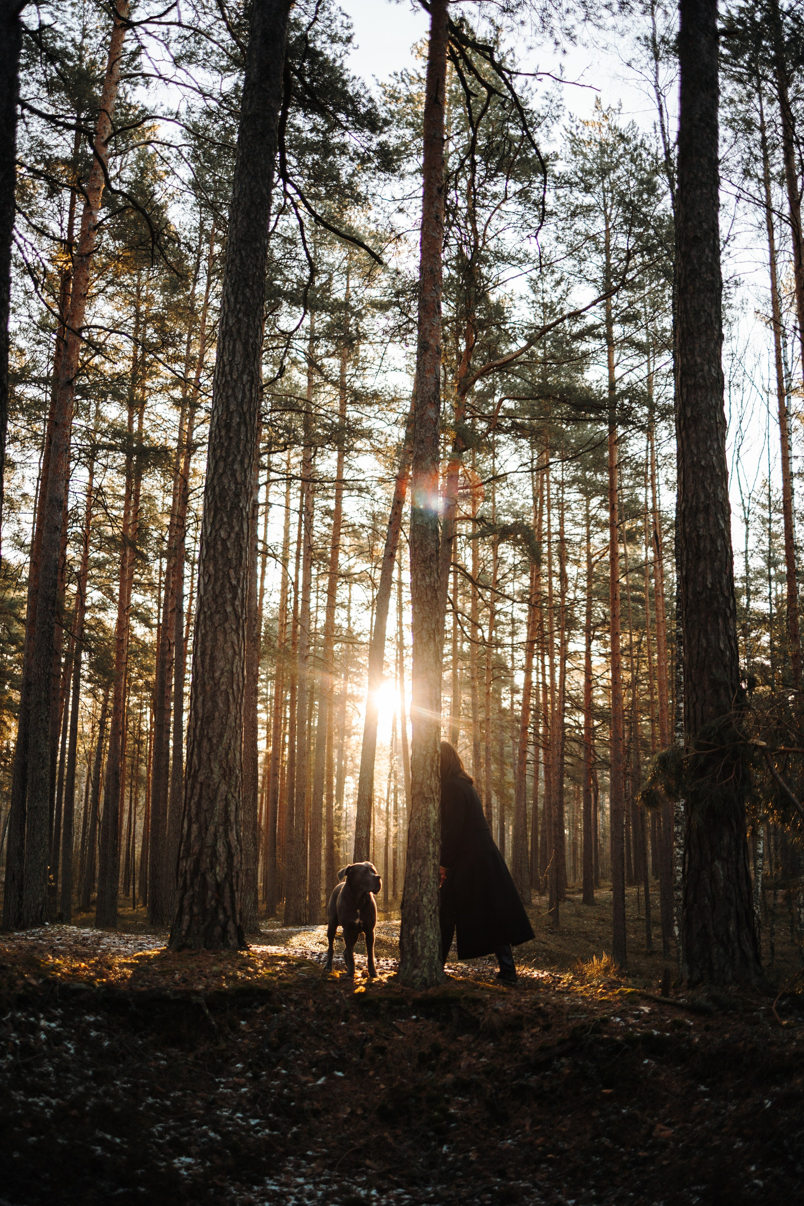 Анна и Лана. Фотограф — Анималист | Санкт-Петербург