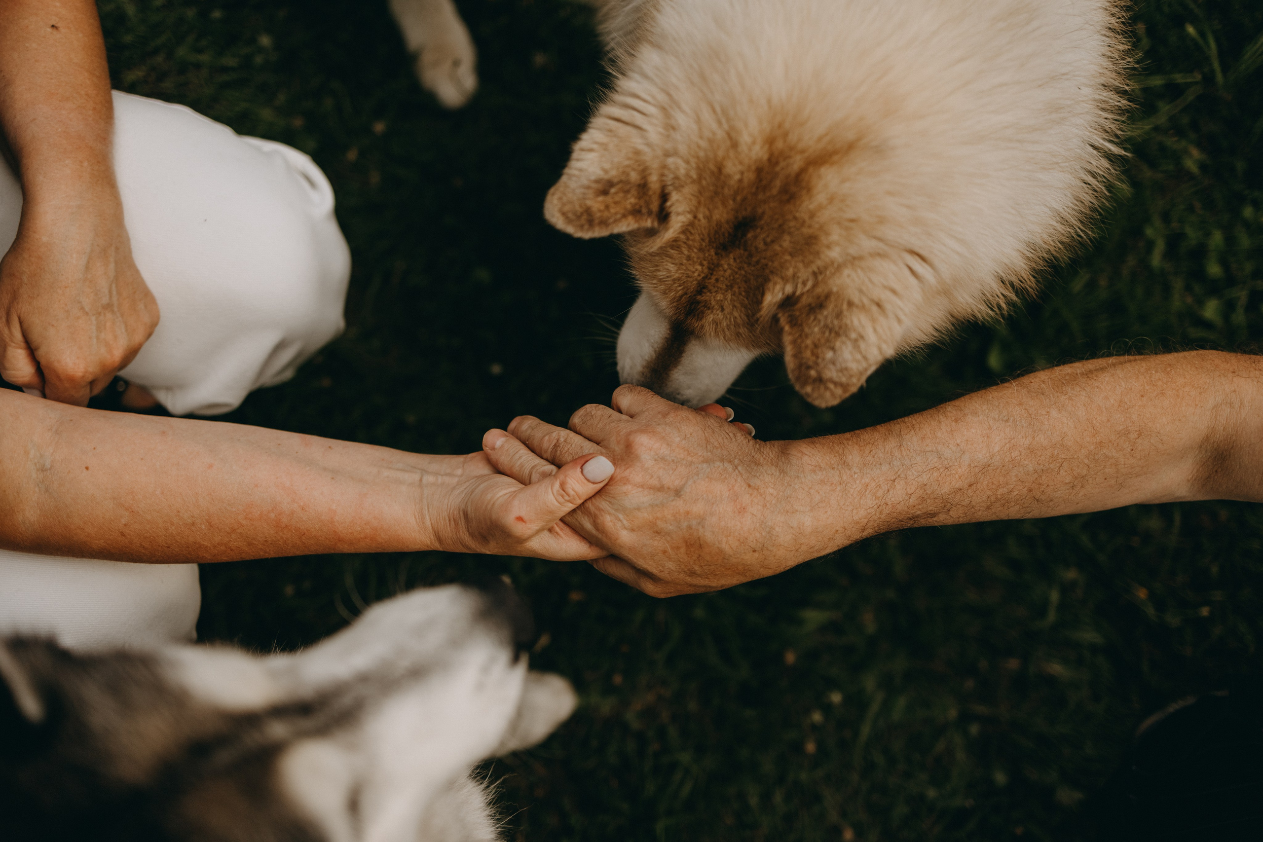 Дом у реки. Фотограф — Анималист | Санкт-Петербург