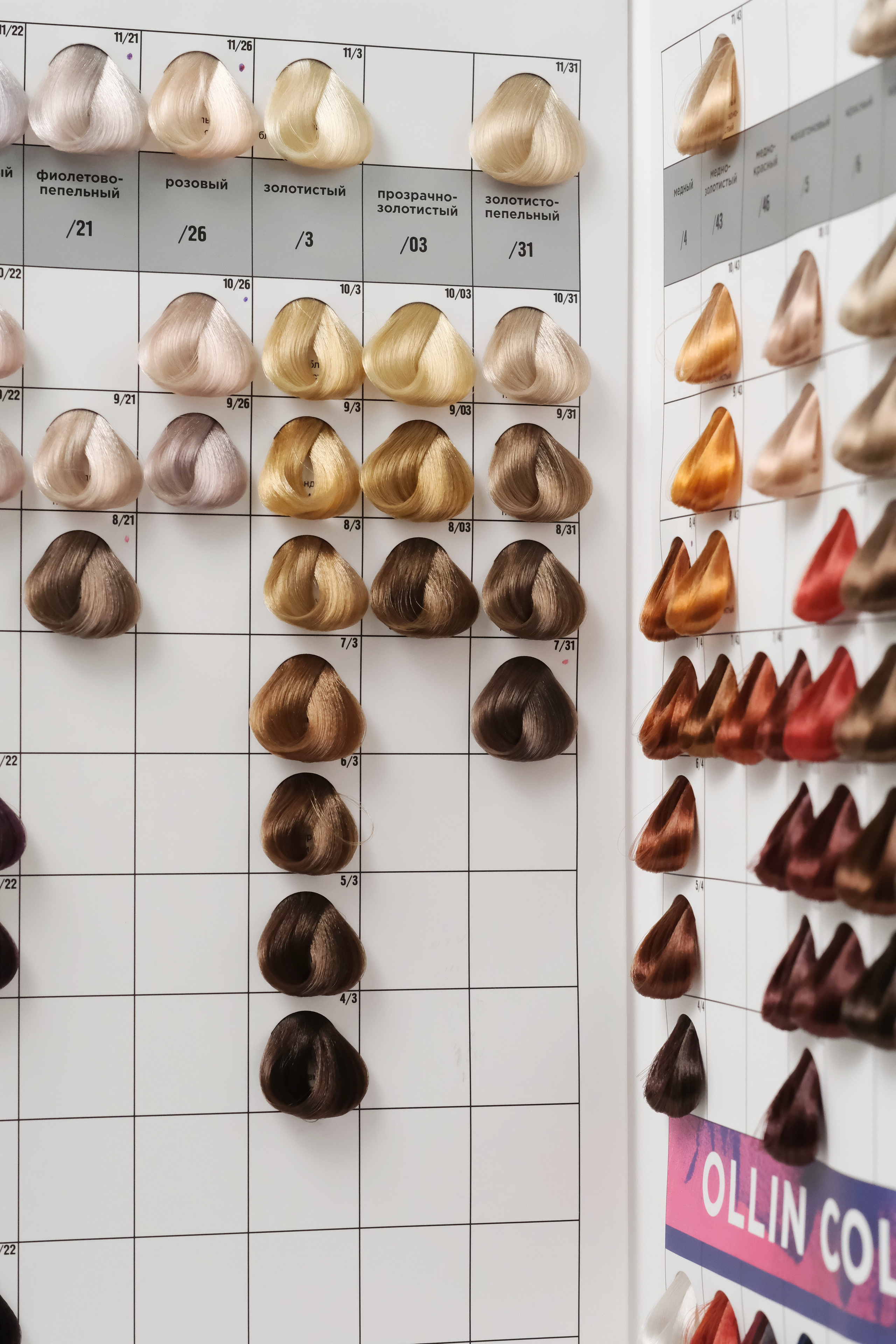 Предметка. Фотограф и видеограф в Тюмени Анна Жагорина, ваши фото еще не отдавали так быстро!