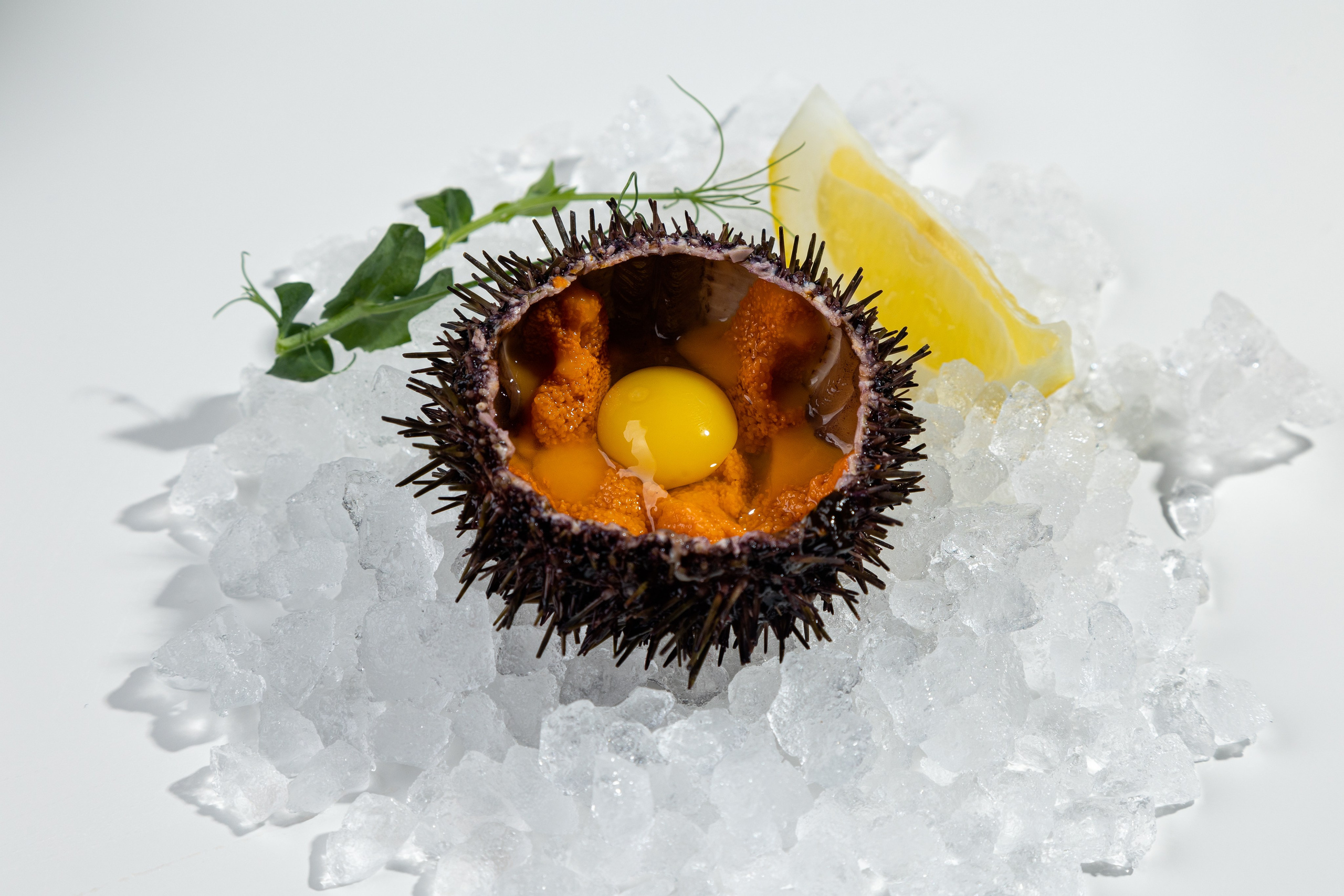 «Сибас», доставка роллов и морепродуктов. Ольга Панкова предметный и фуд-фотограф в Краснодаре