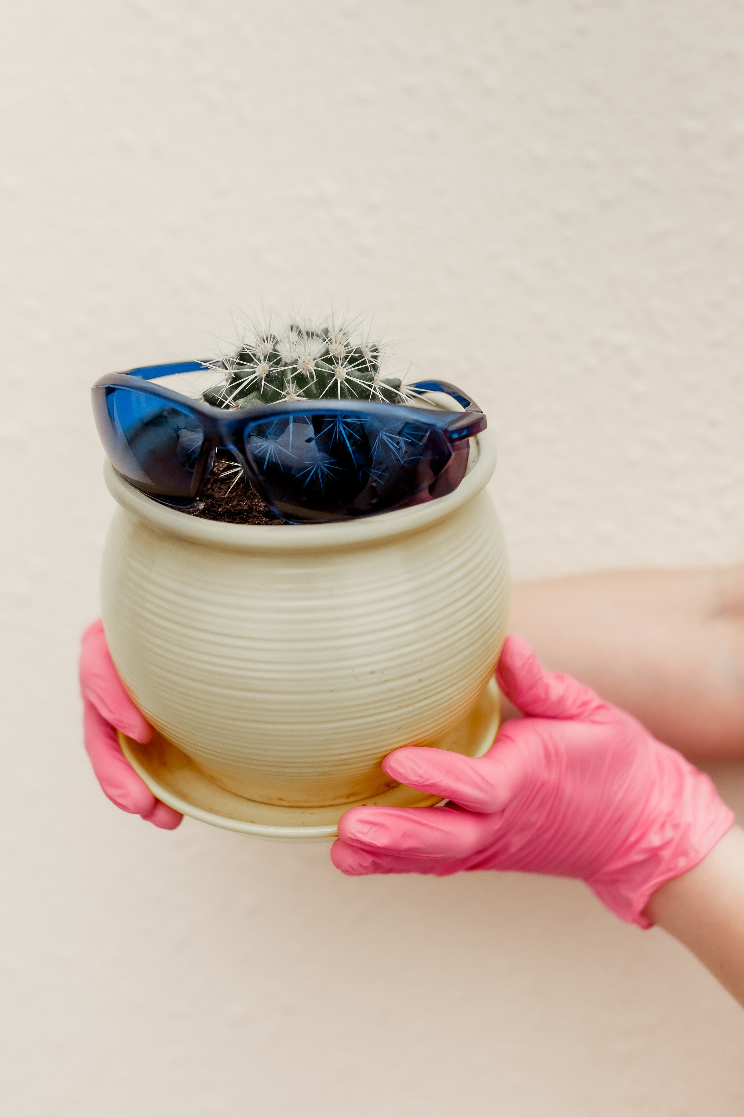 Дарья. Лазерная эпиляция