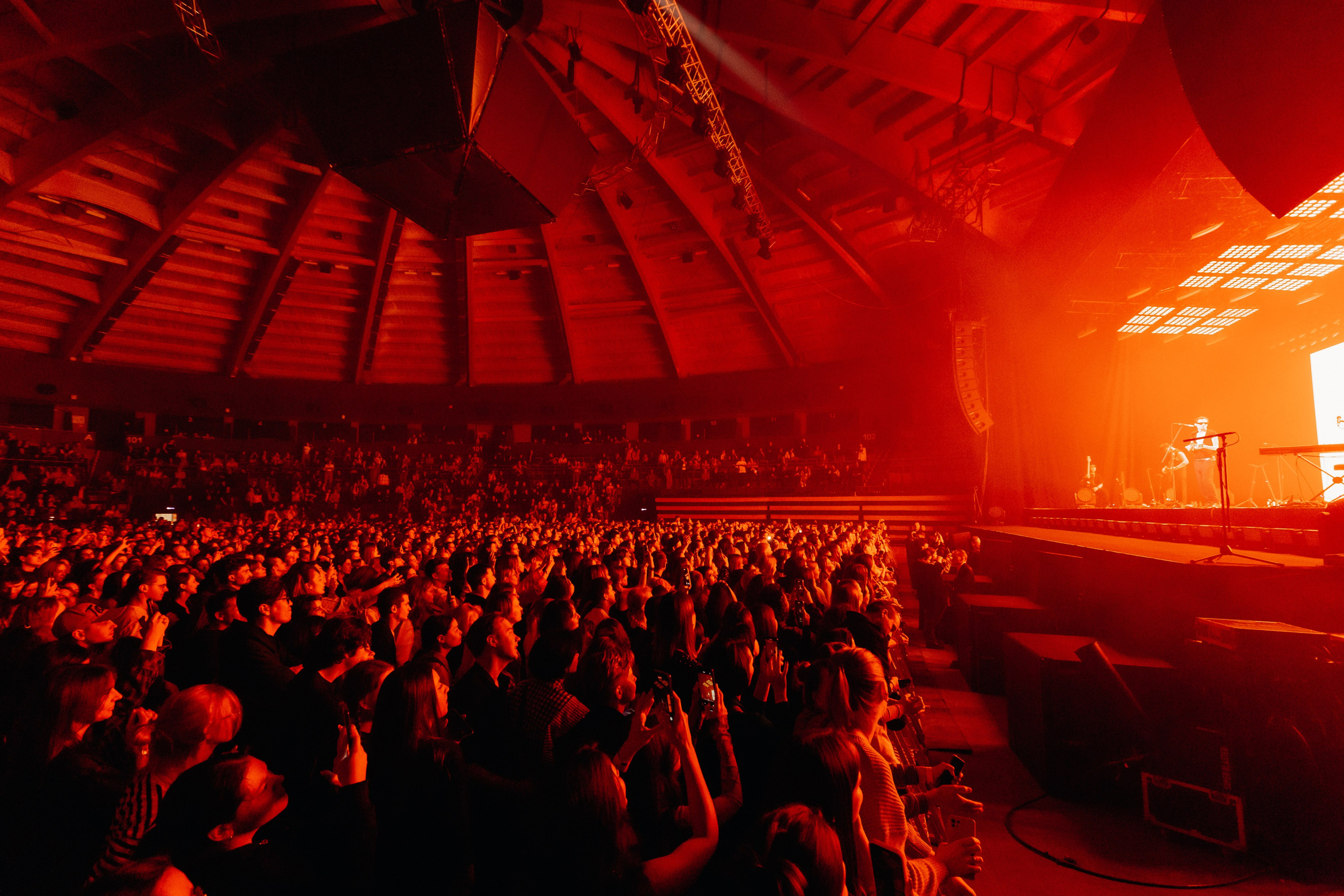 ZOLOTO. Фотограф Виктория Дунаевская в Санкт Петербурге