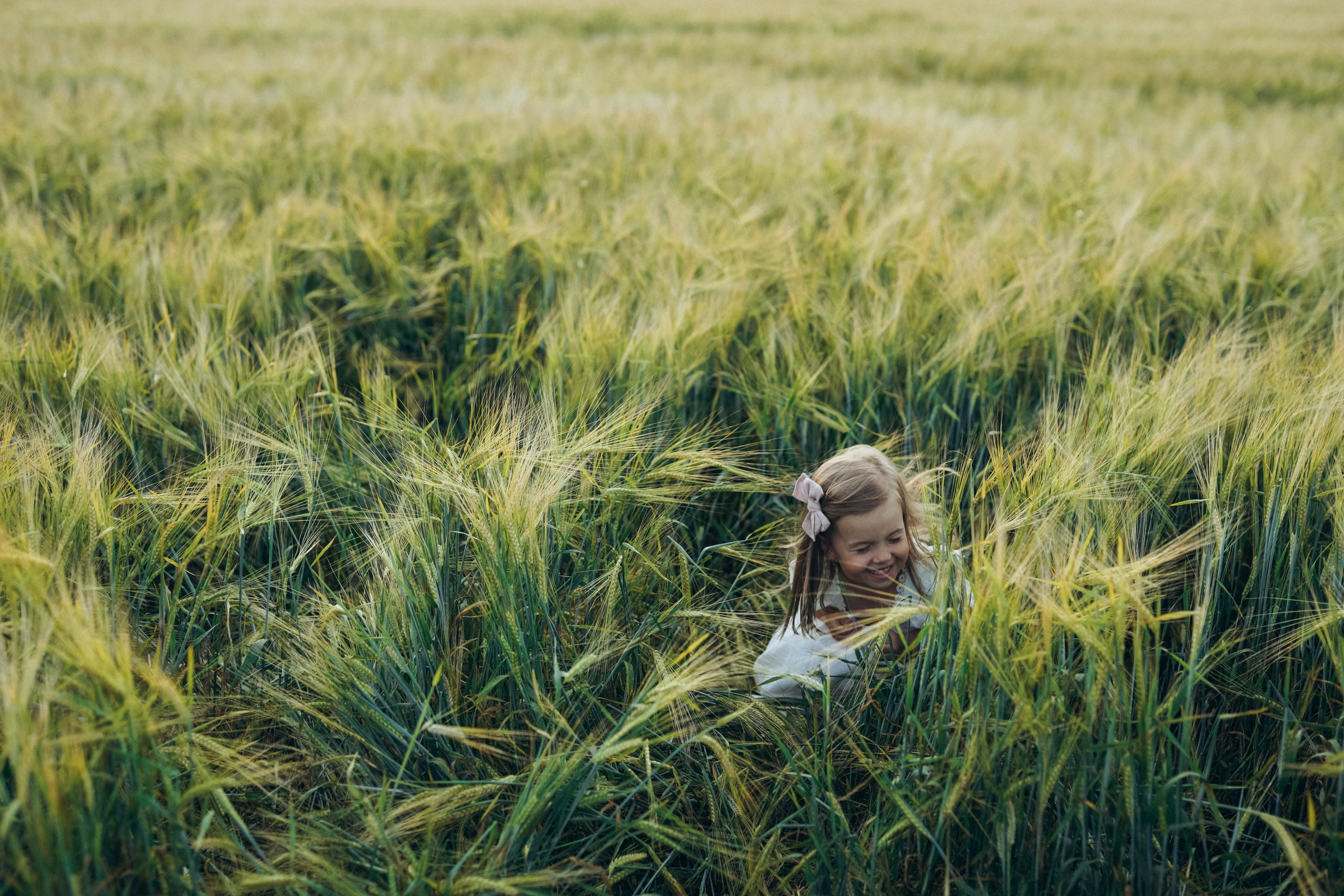 Пшеничное поле. Семейный и женский фотограф в Санкт-Петербурге Татьяна Стружкина