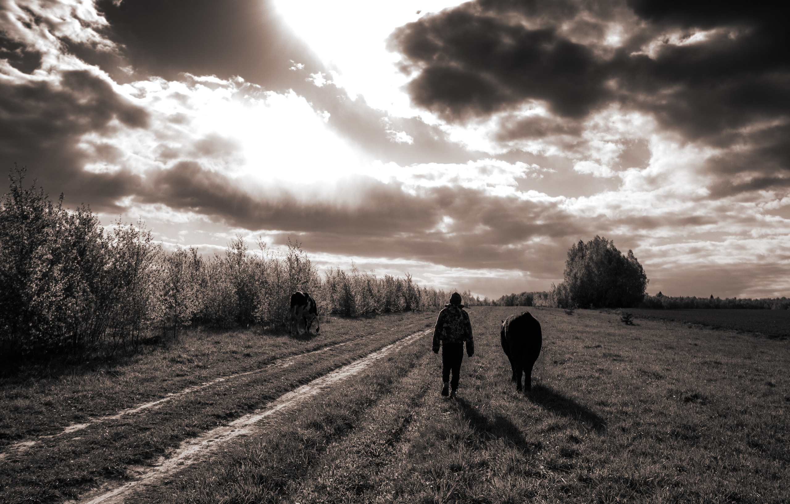 ПЕЙЗАЖ. Фотограф Николай Костюк
