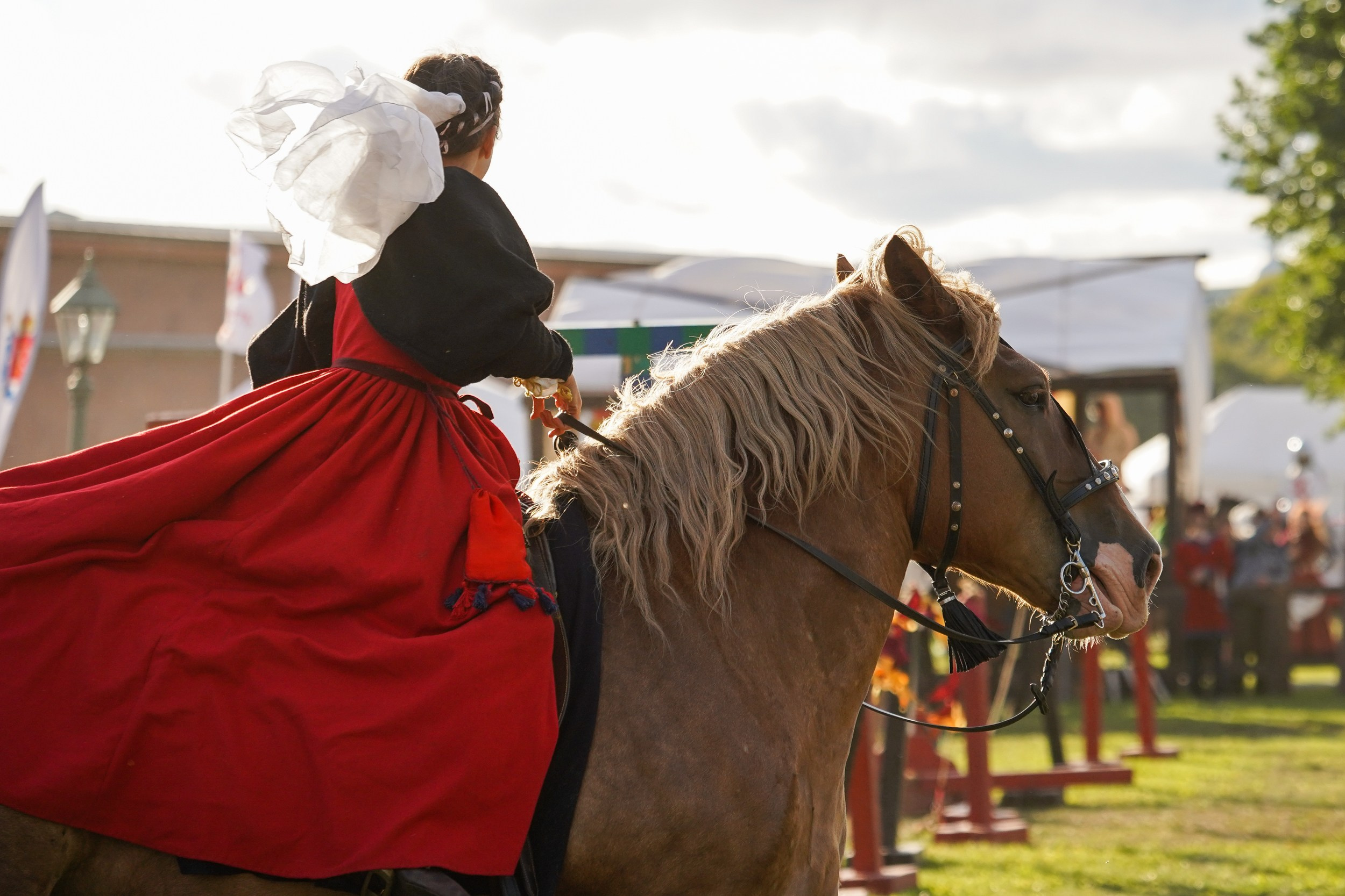 Рыцарский турнир в рамках фестиваля «Битва на Неве» Санкт-Петербург 2024 г. Фотограф-анималист, портретный фотограф в Чебоксарах Мария Садыкова