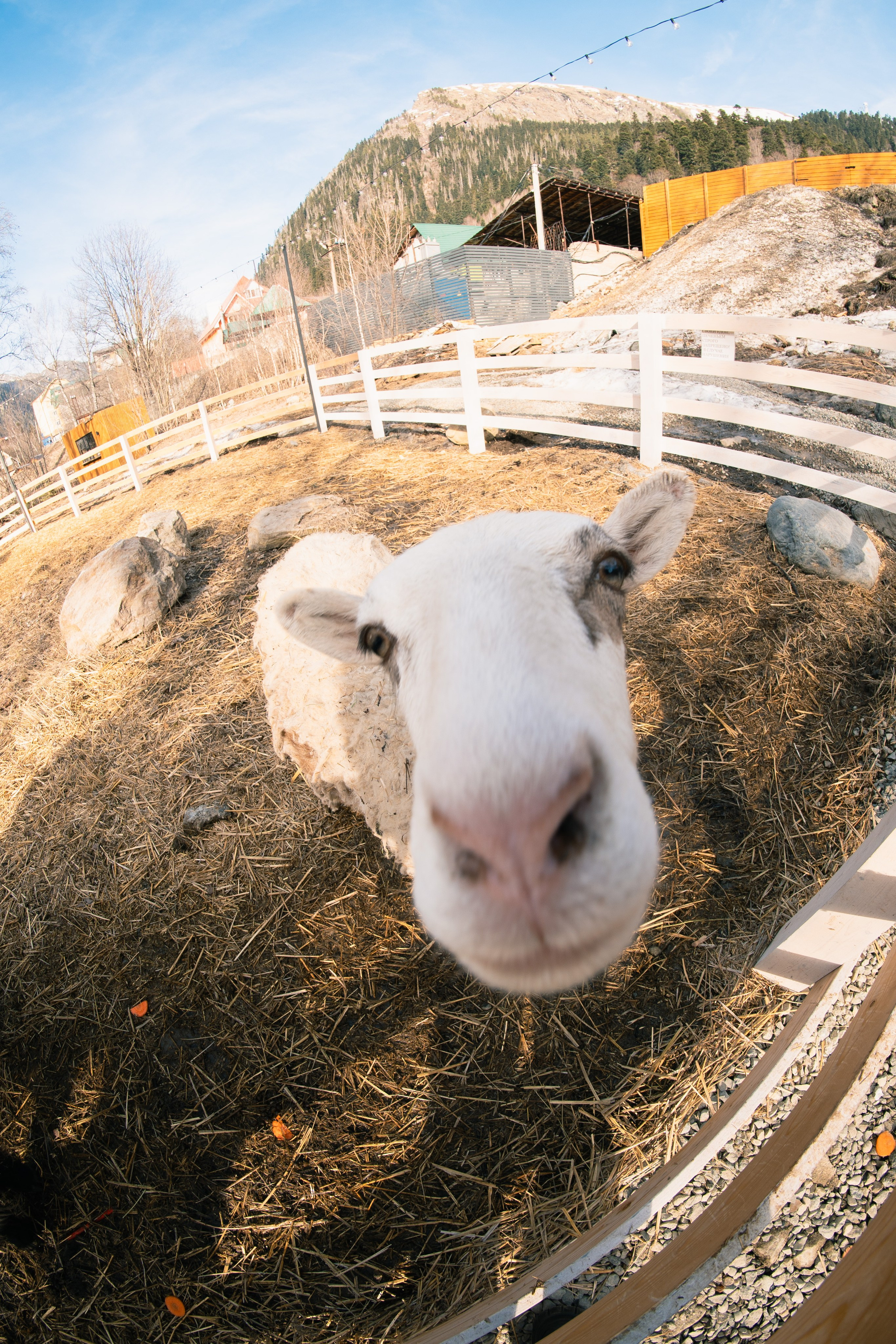 ZHARA TOUR DOMBAY FEST | 2025. ZHARA CREW