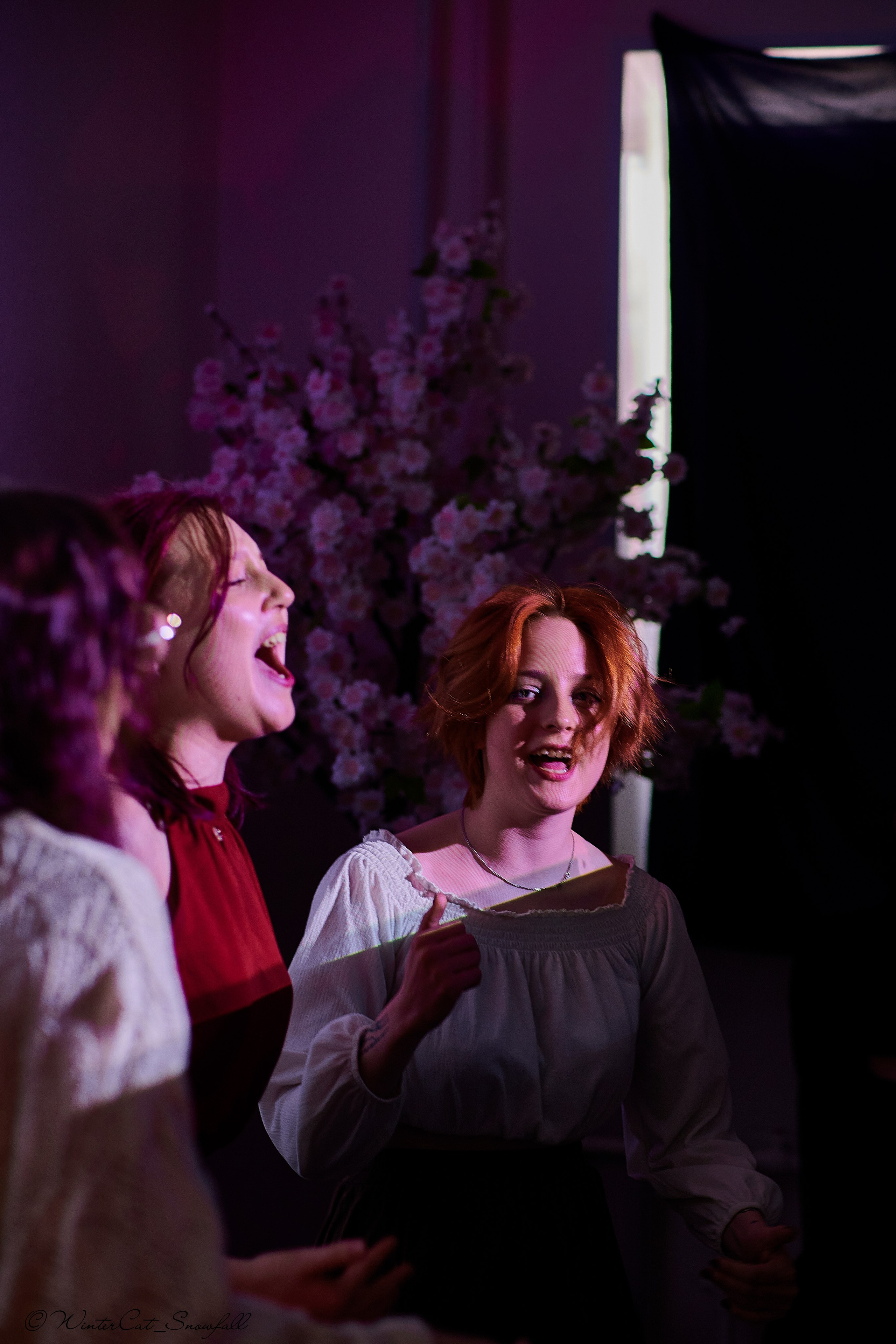 Крик (Чайка 11.05.24). Портретный и репортажный фотограф в Магадане Андрей Нефедов WinterCatPhoto