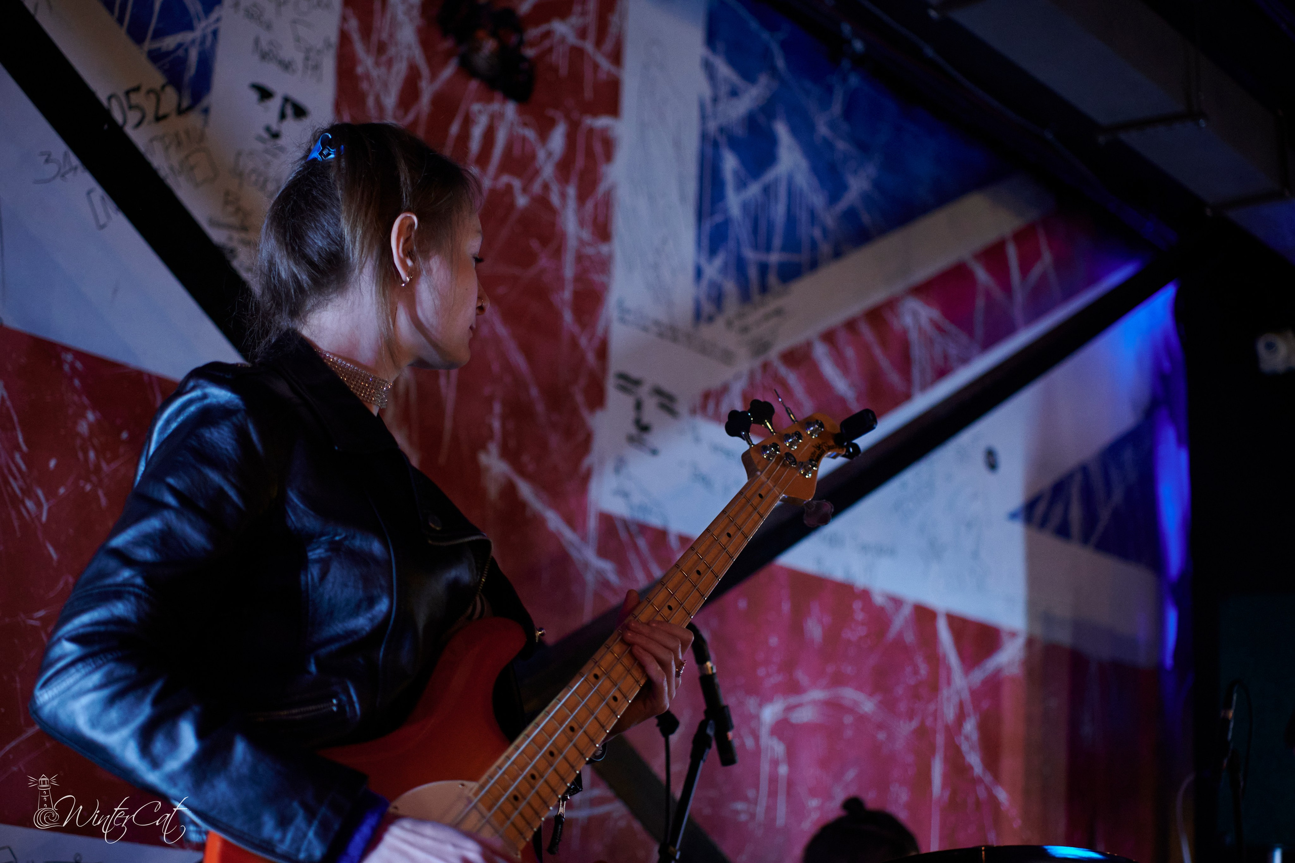 День Рождения Честер Четыре Года. Портретный и репортажный фотограф в Магадане Андрей Нефедов WinterCatPhoto