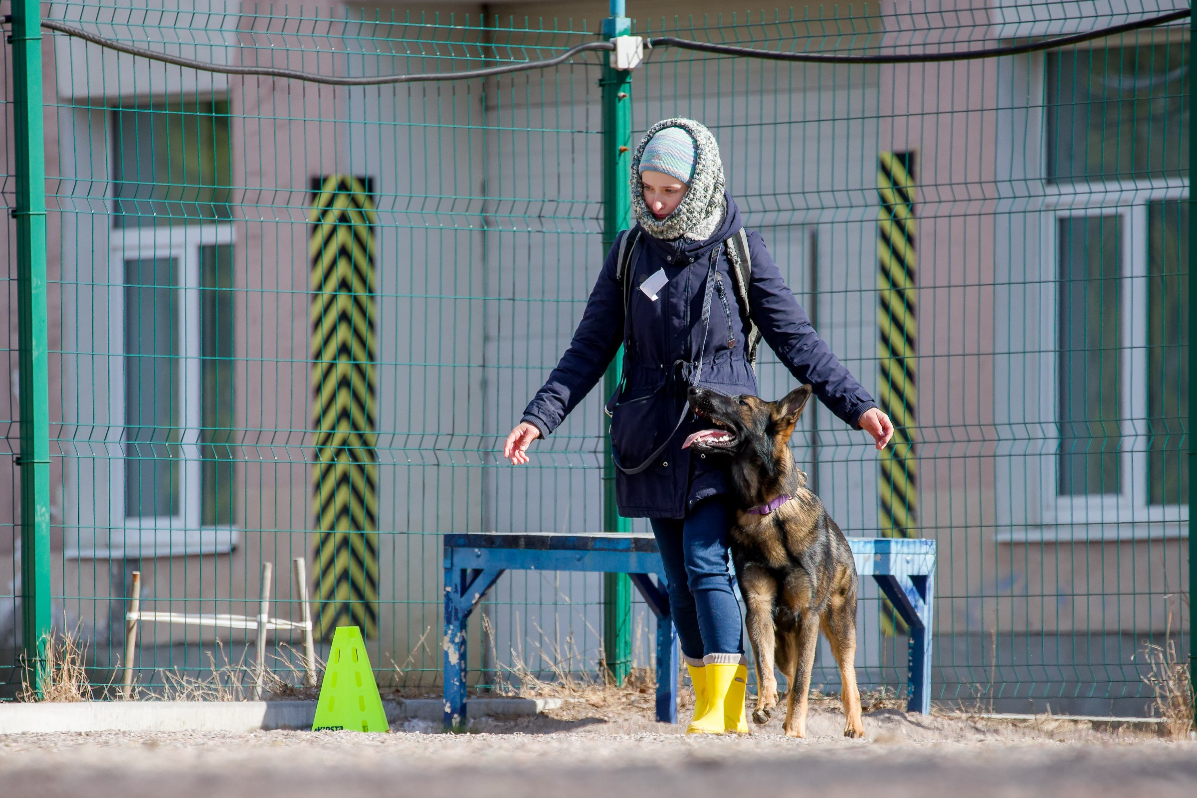 Соревнования «Пошагаем?» от школы дрессировки «Шаги». Irenephoto.ru