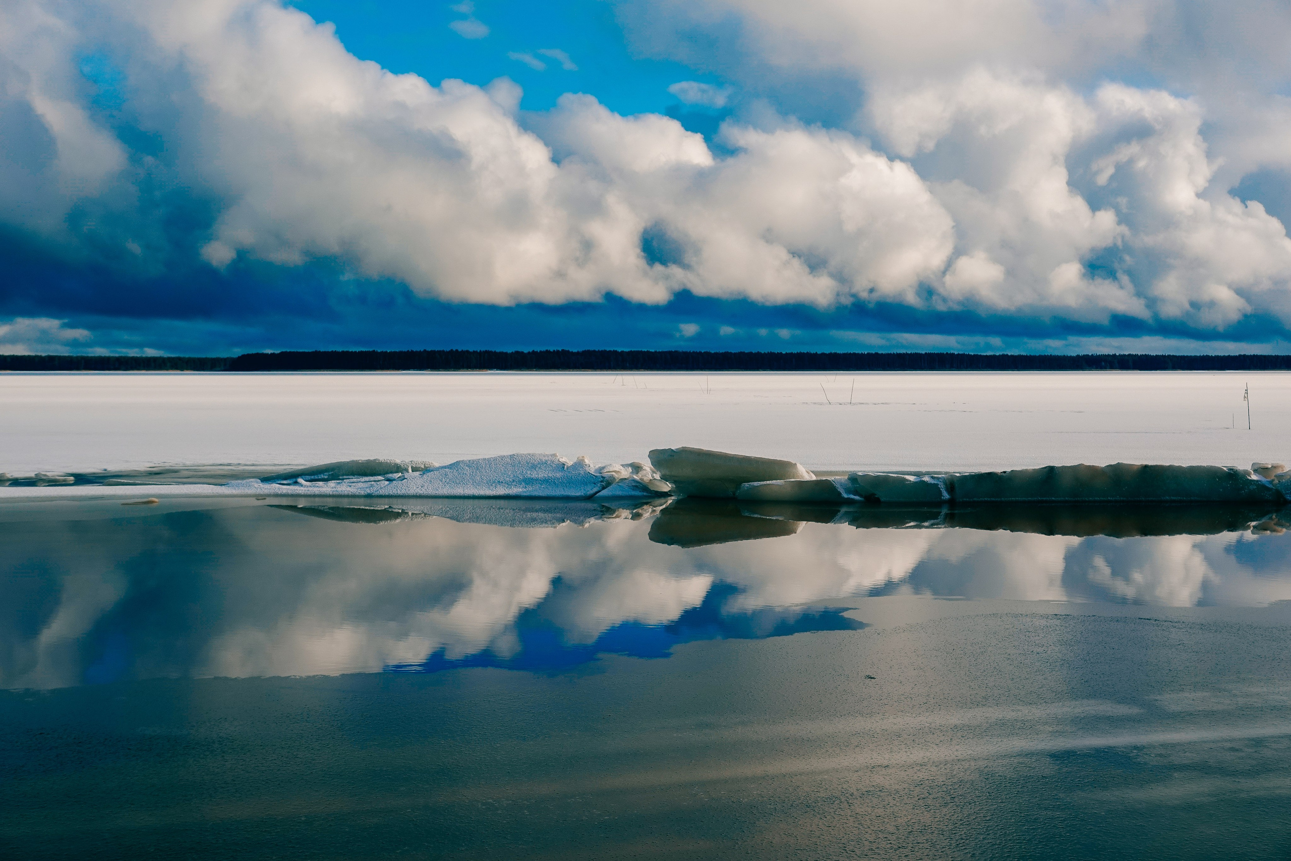 Пленишник. Фотограф Алиса Аспер