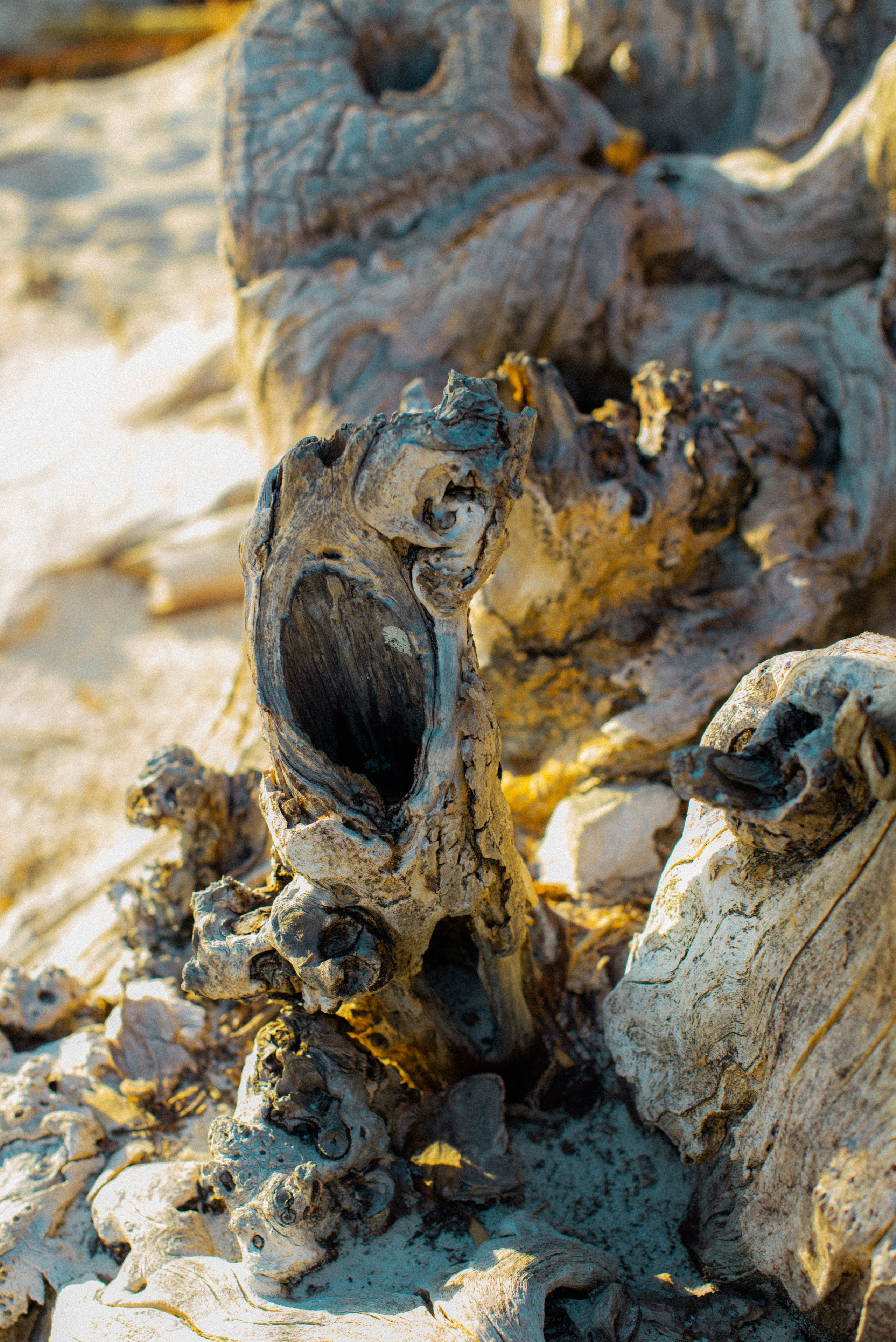 Мальдивы. Фотограф Алиса Аспер