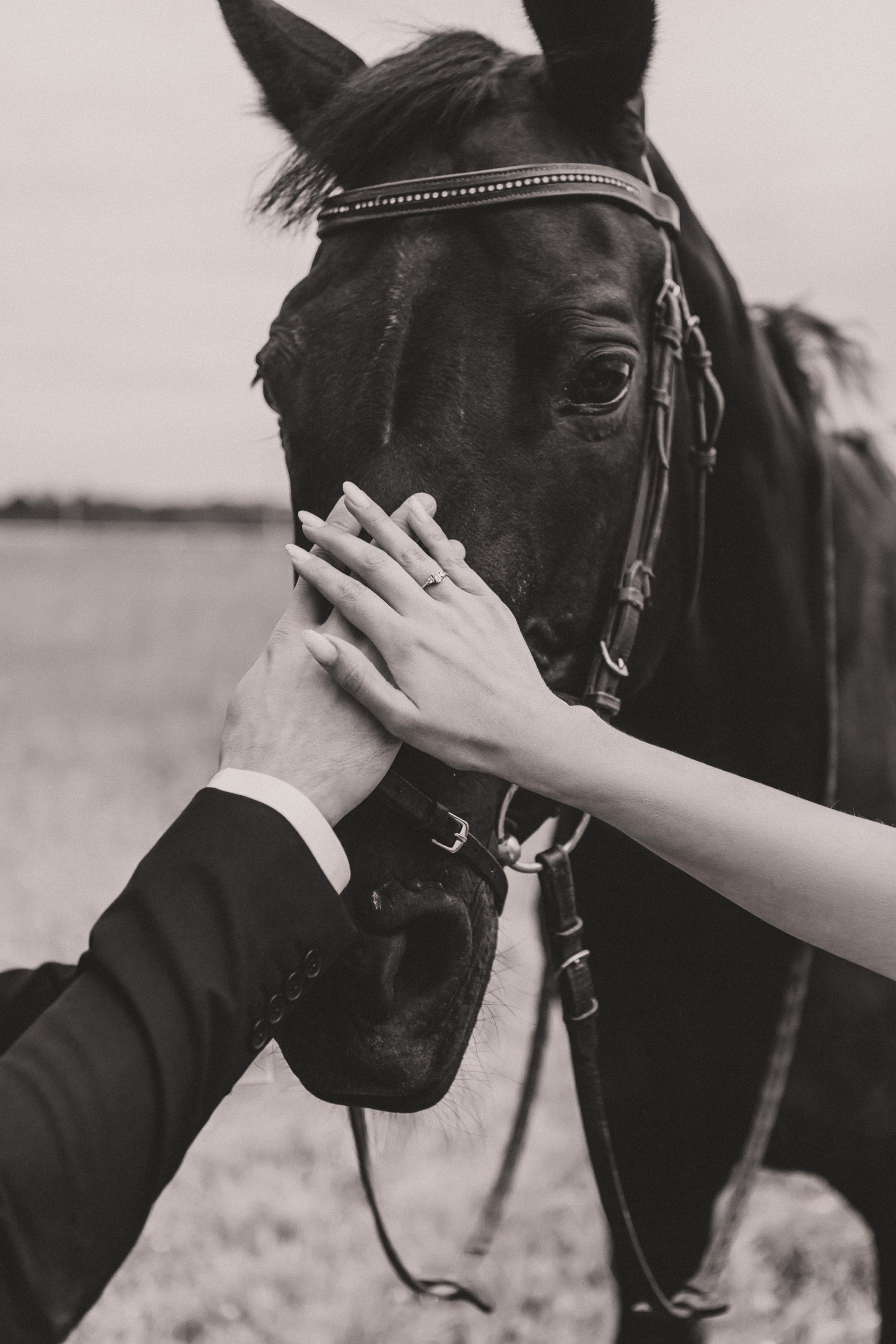Костя и Марина. Свадебный и семейный фотограф Анастасия Меркуль